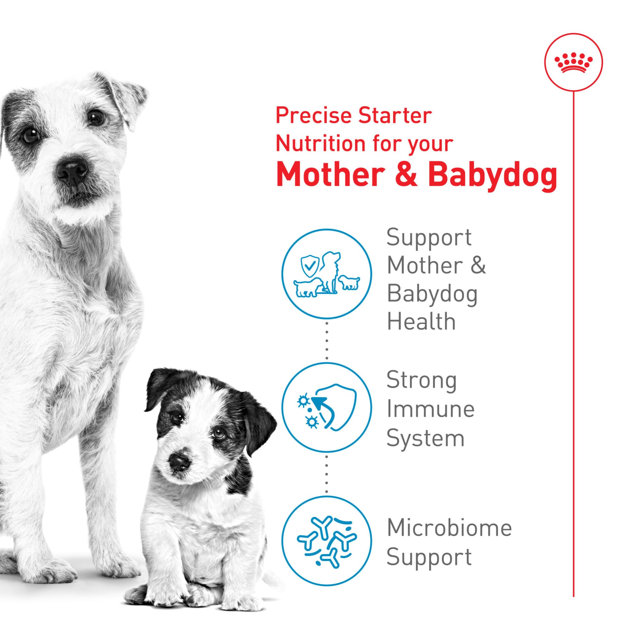 Royal Canin Size Health Nutrition Small Starter Mother & Babydog Dry Dog Food, 14 lb bag