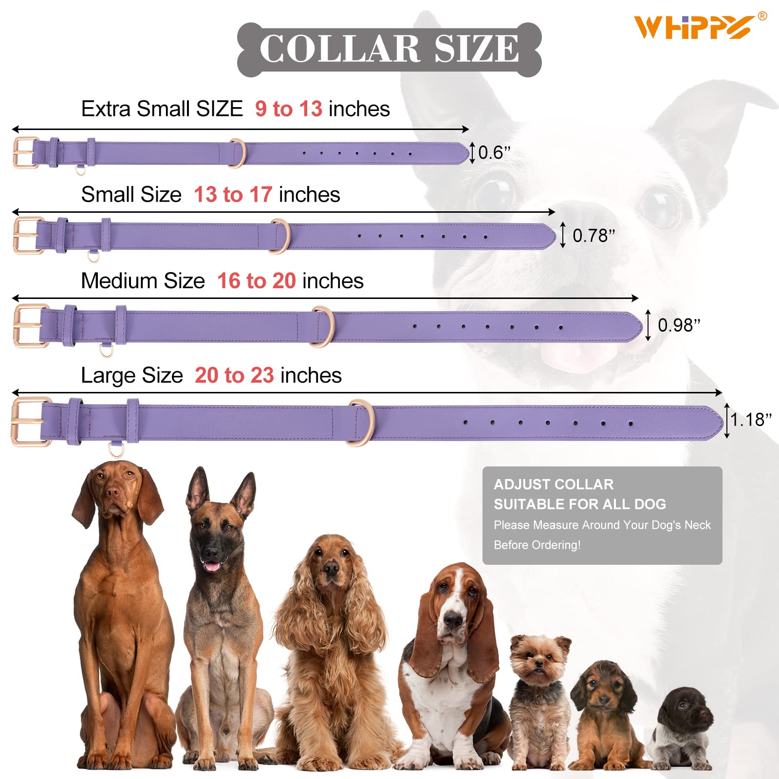WHIPPY Leather Dog Collar - Adjustable, Soft, Waterproof, M (Neck 16"-20"), D-purple