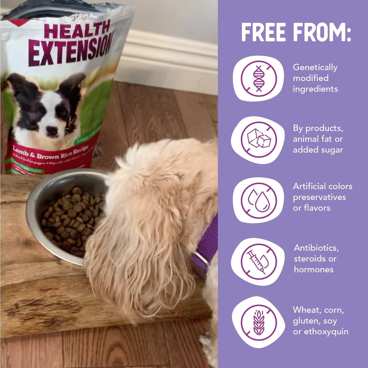 Health Extension Lamb & Brown Rice Dry Dog Food (30 lb / 13.61 kg) - Nutritious Free-Range Lamb Formula with Probiotics, Antioxi