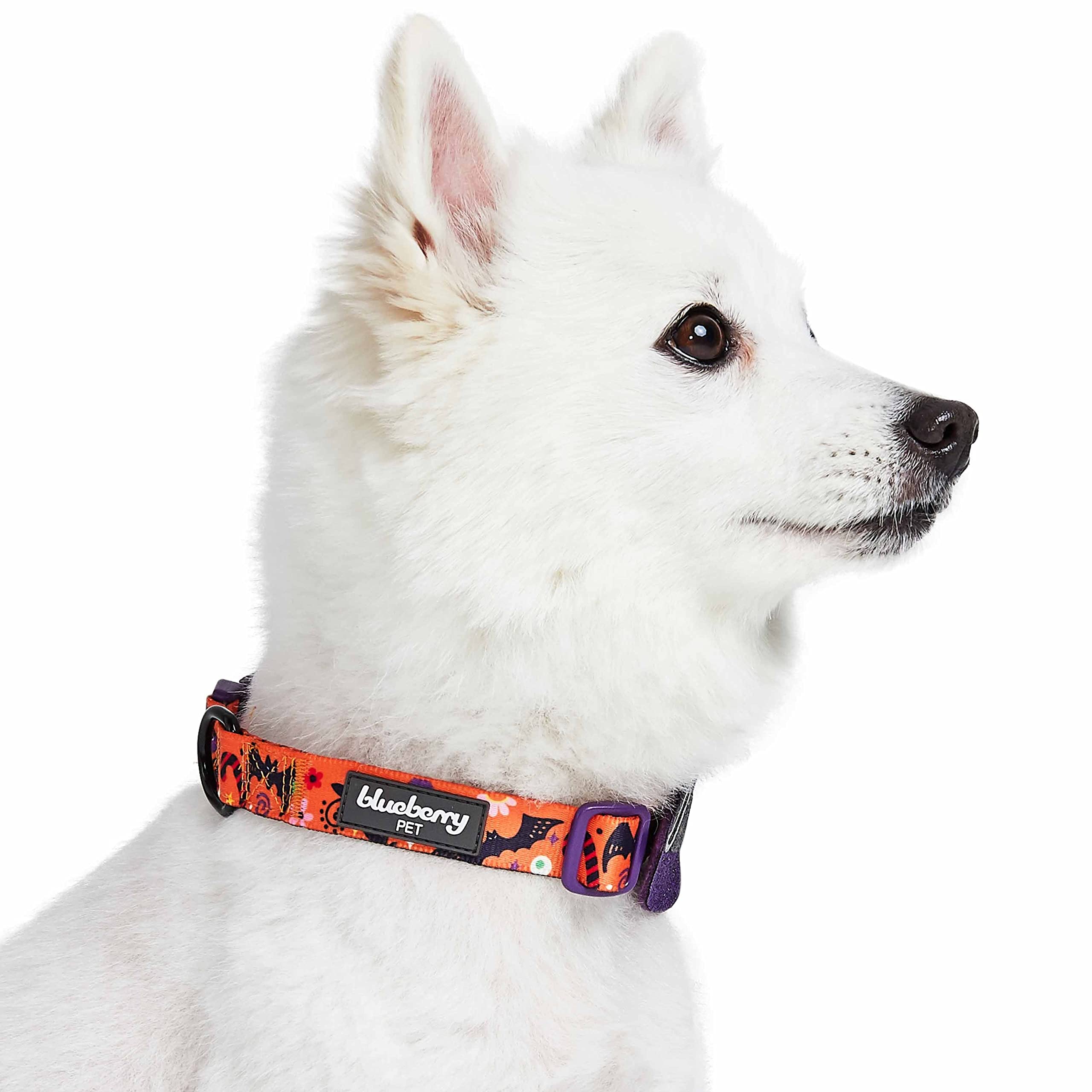 Blueberry Pet Halloween Witch Hat Adjustable Dog Collar with Detachable Glitter Accessory, Large, Neck 18''-26''