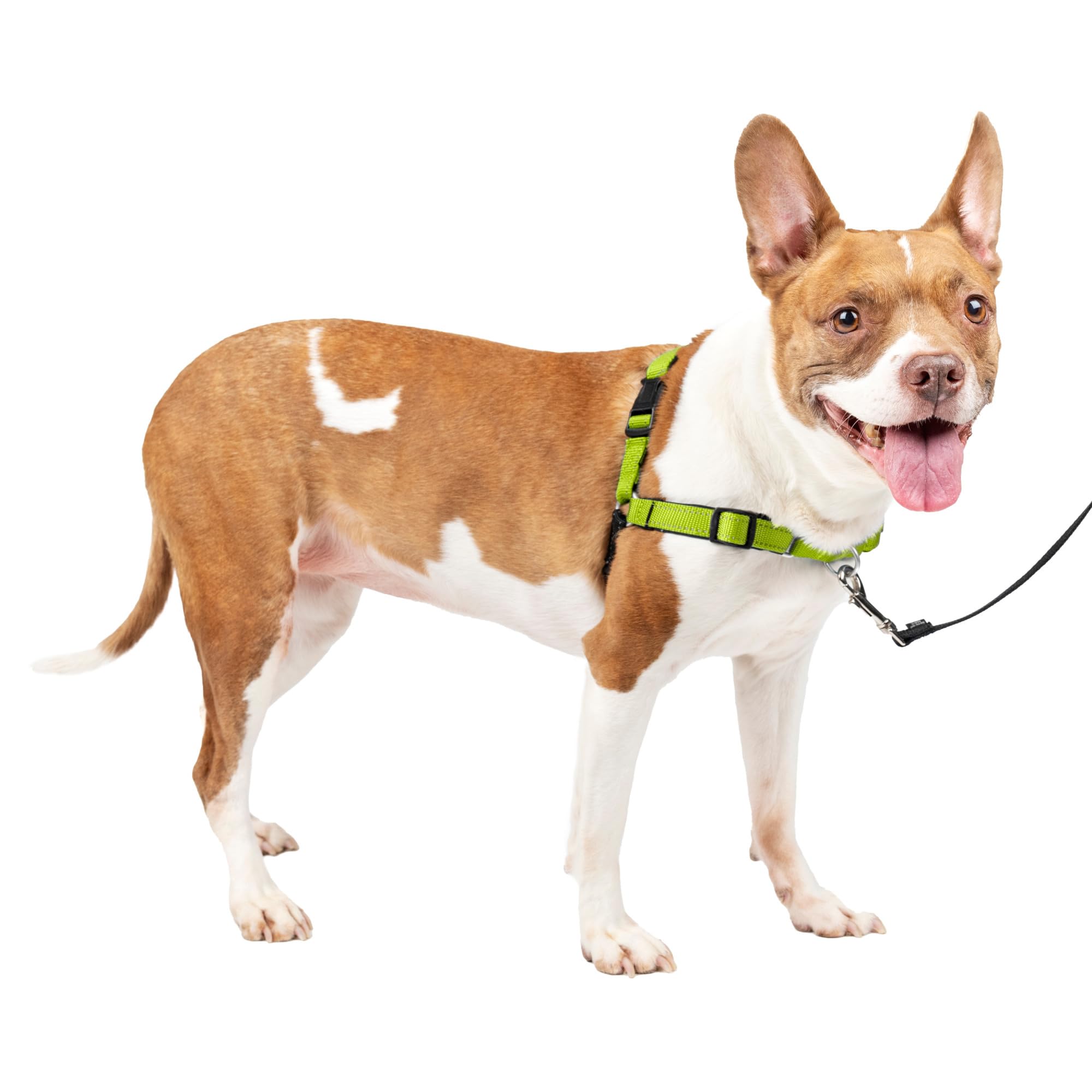 Petsafe Easy Walk Deluxe Dog Harness, No Pull Dog Harness – Perfect For Leash & Harness Training – Stops Pets From Pulling And Choking On Walks – Medium, Apple