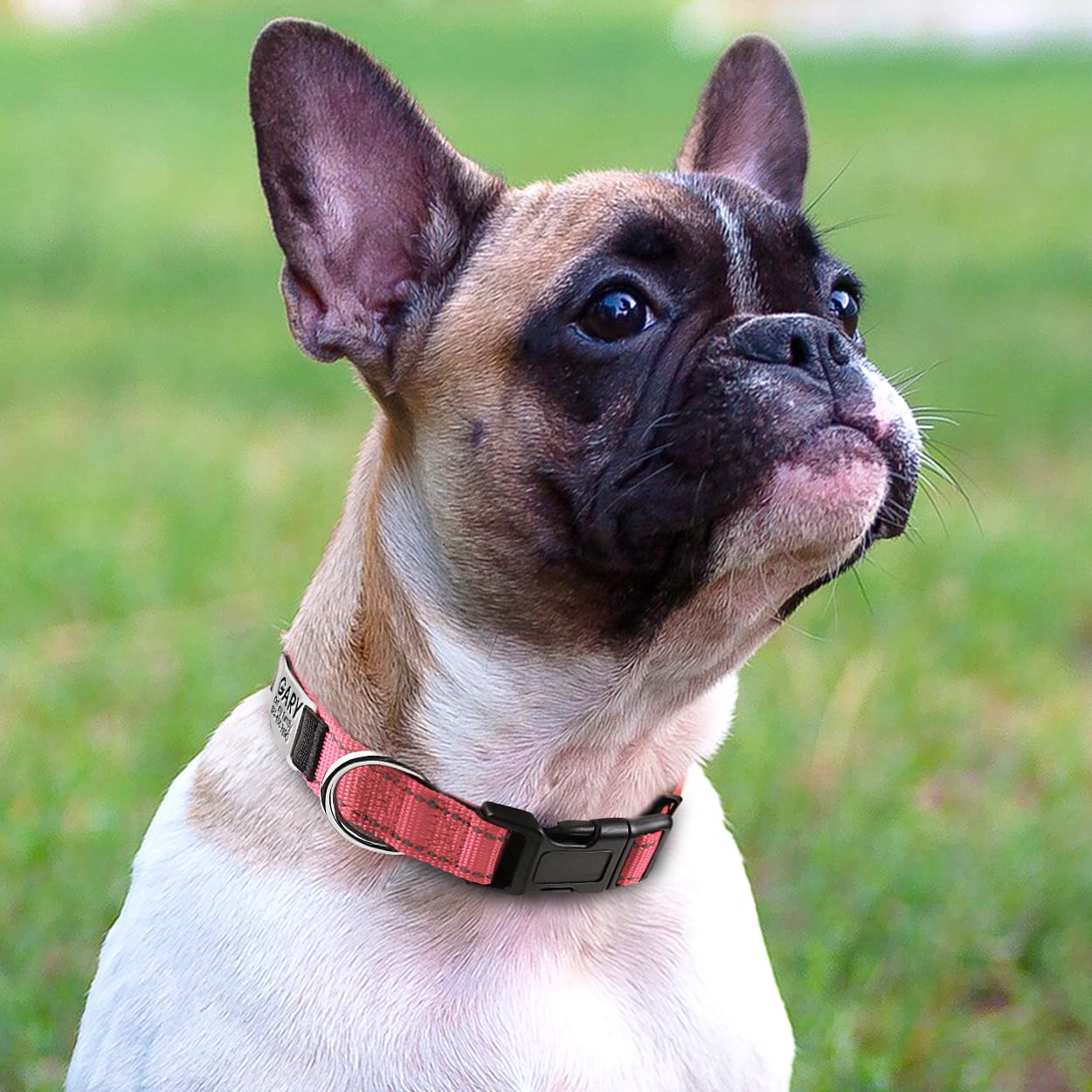 Joytale Personalized Dog Collars, Reflective Nylon Dog Collar With Engraved Name Plate, Customized For Small Dogs, Pink, S