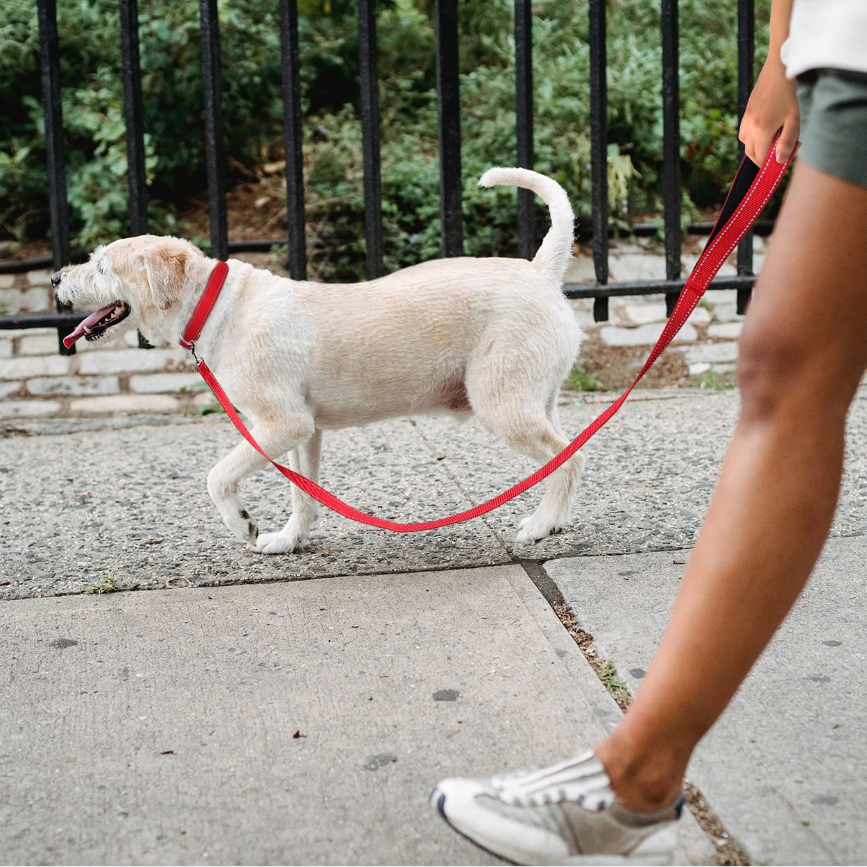 Tagme Reflective Nylon Dog Collars, Adjustable Classic Dog Collar With Quick Release Buckle For Large Dogs, Red, 1.0' Width