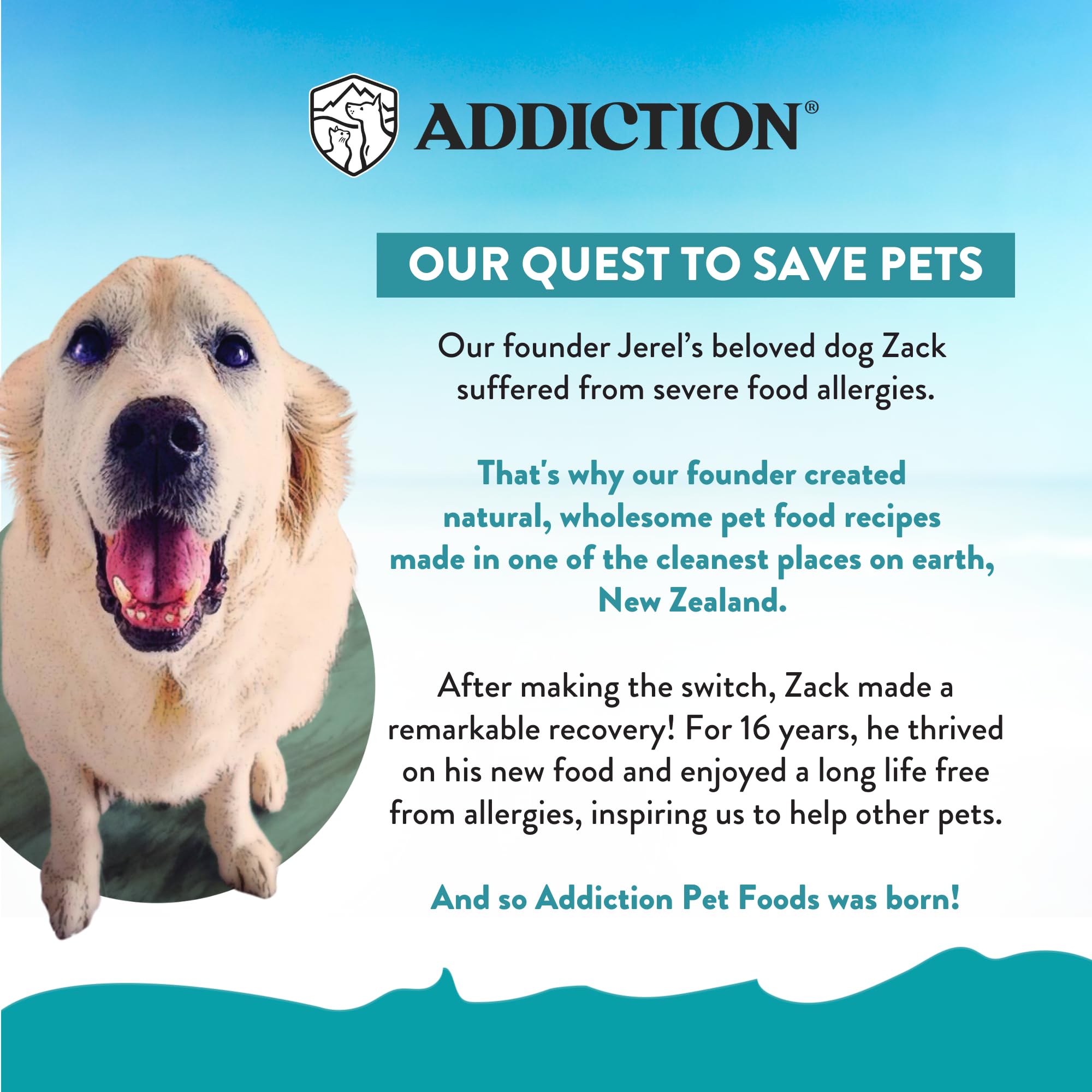 Addiction Salmon Bleu Grain-Free Dry Cat Food - Rich in Omega-3 for Healthy Skin & Coat - Complete & Balanced Salmon Recipe for