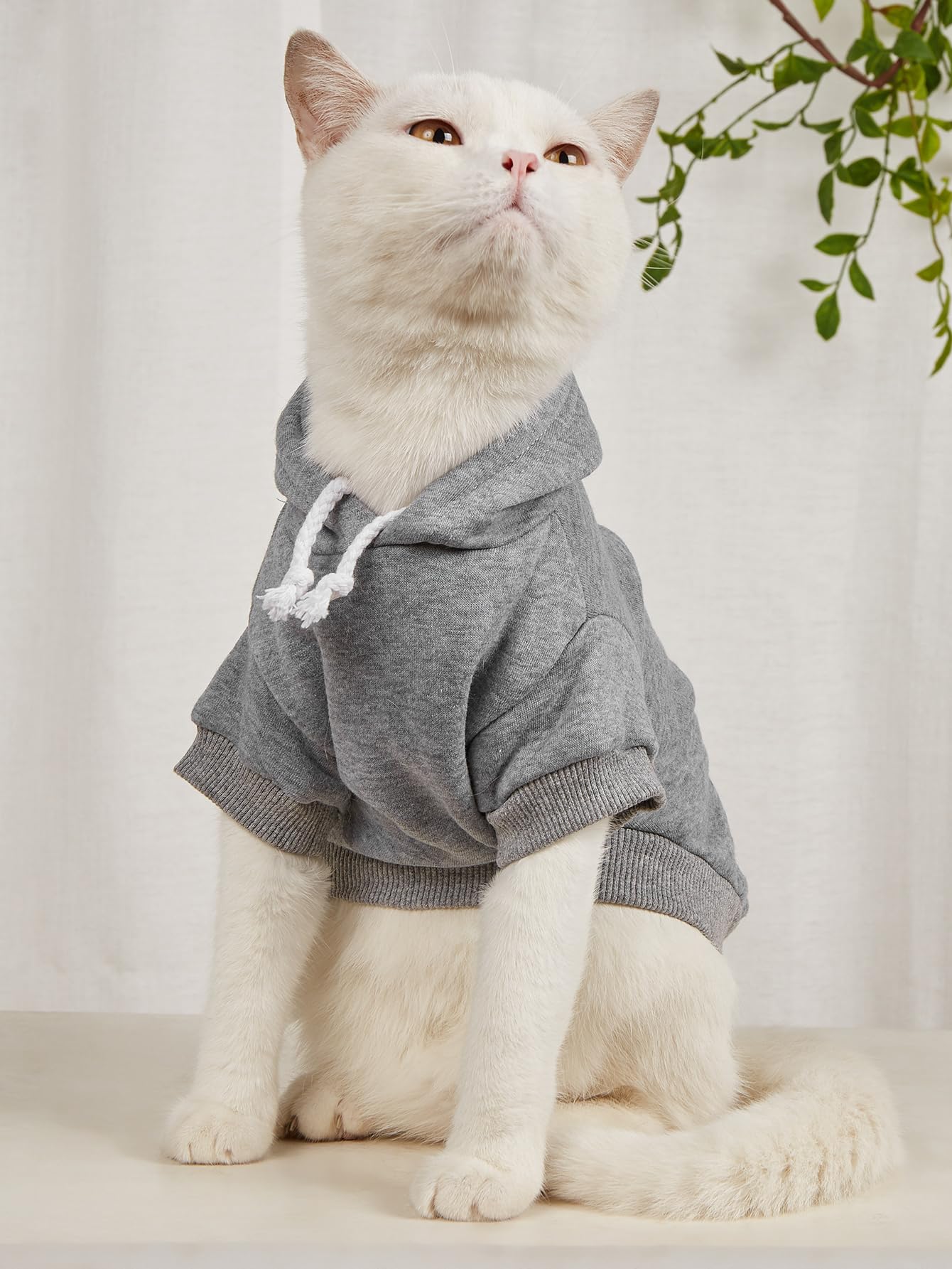 Qwinee 2Pc Basic Dog Hoodie & Cat Apparel - Dog & Cat Warm Jacket, Grey & Cadet Blue, Sizes S/M