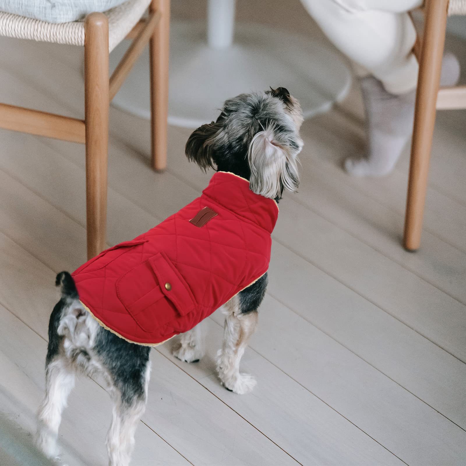 Queenmore Warm Dog Coat, Cold Weather Puffer Dog Coat, Quilting Winter Dog Jacket Ultra Thick Plush Lining With Storage Pockets (Red, Medium)