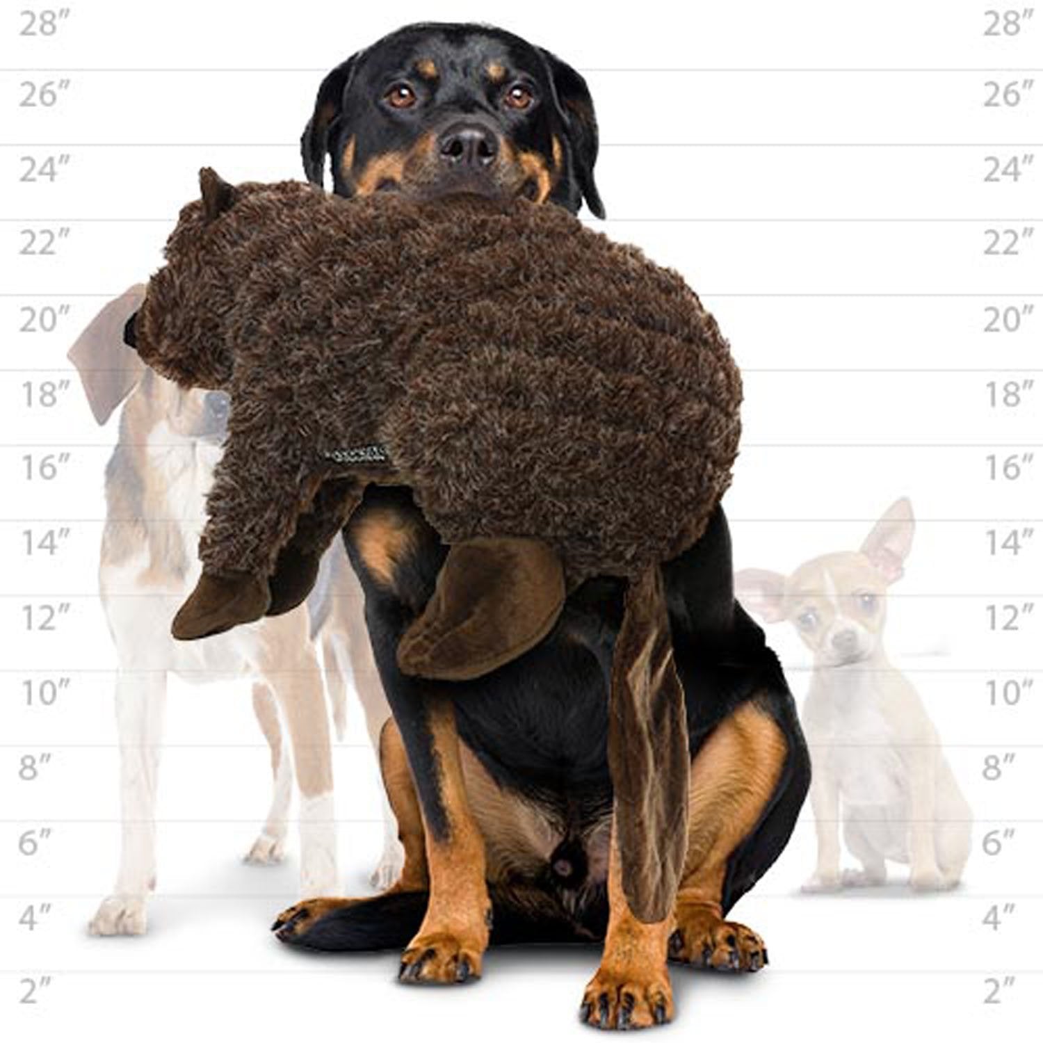 Mighty- Massive-Nature-Beaver- Squeaker-Multiple Layers. Made Durable, Strong & Tough. Interactive Play Dog Toy (Tug, Toss & Fetch). Machine Washable & Floats