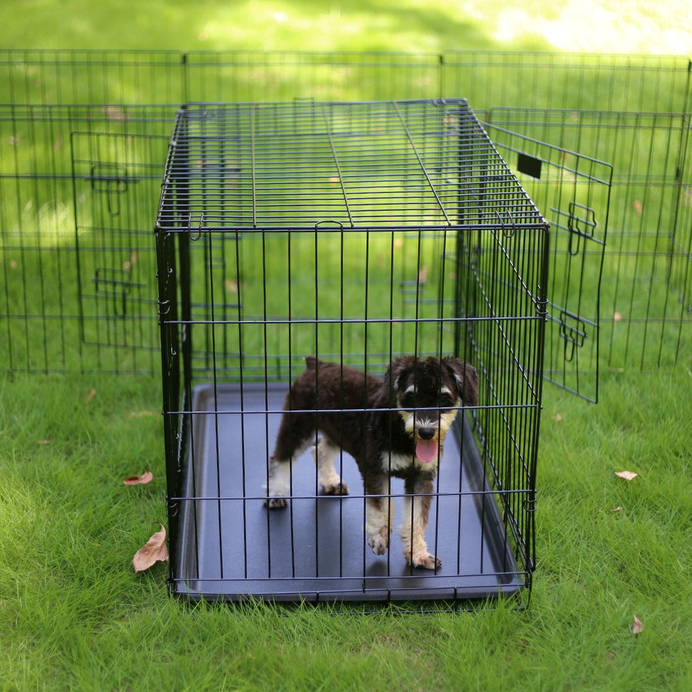 Peekaboo Dog Pen - Foldable Metal Playpen, 8 Panels, 24 Inch, Indoor/Outdoor, Black