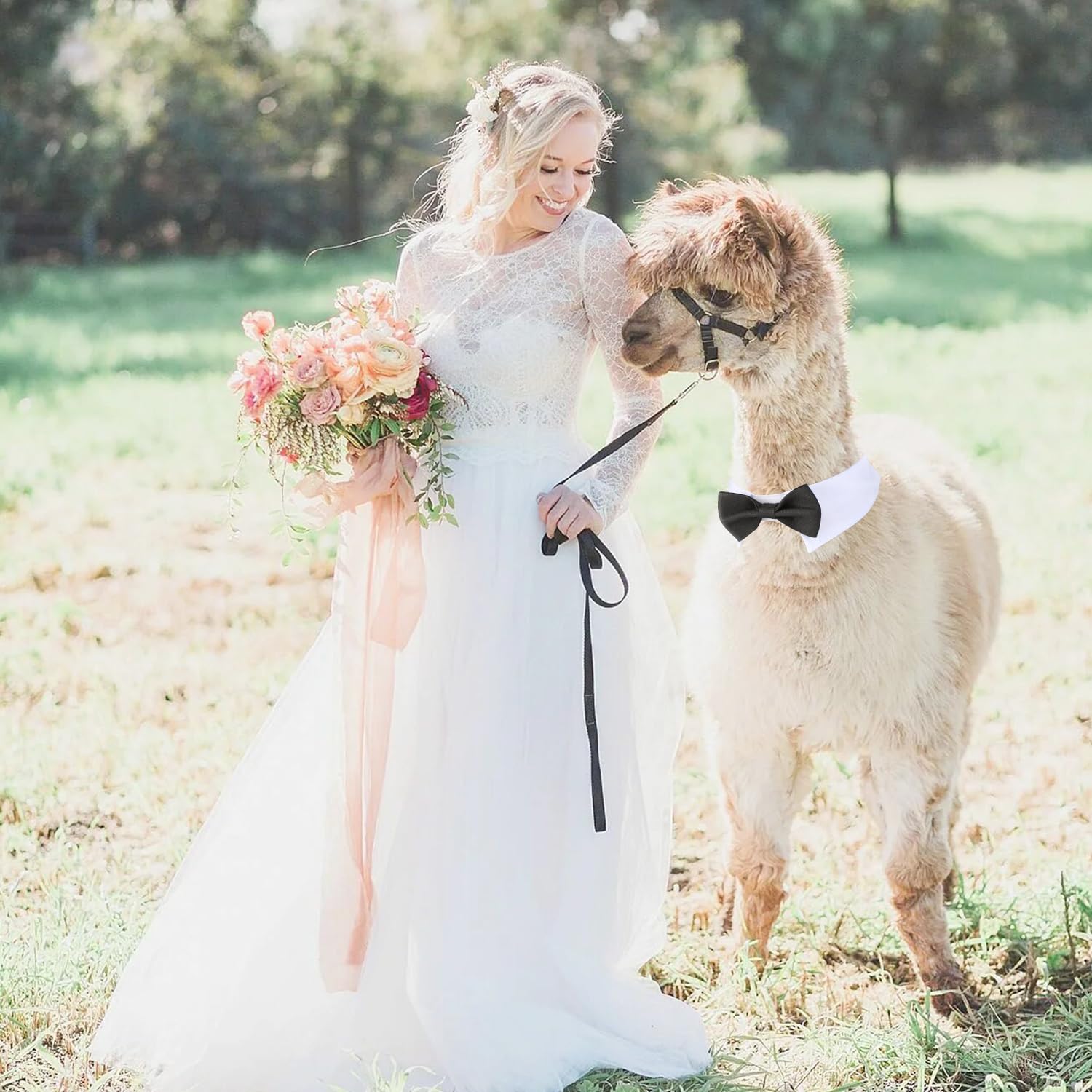 Segarty Dog Bow Tie, Adjustable Black Bowtie Collar For Extra Large Dogs, Dog Neck Tie Tuxedo Comfortable Cotton Boy Pets Groomi