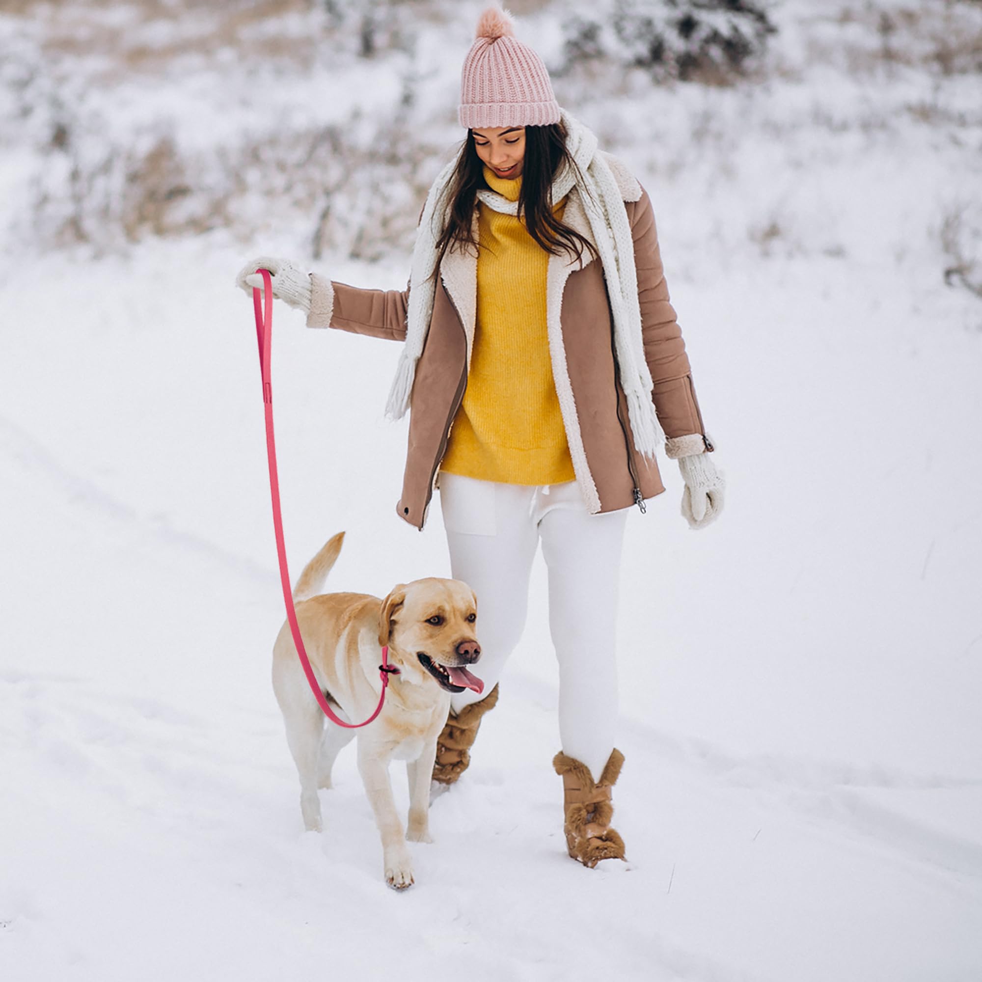 Dogline Biothane Slip Dog Leash - For Small, Medium And Large Dogs - Odor Free Slip Lead, Heavy Duty And Durable Material Kennel Lead - Passionfruit Pink - 5Ft L X 3/8In W