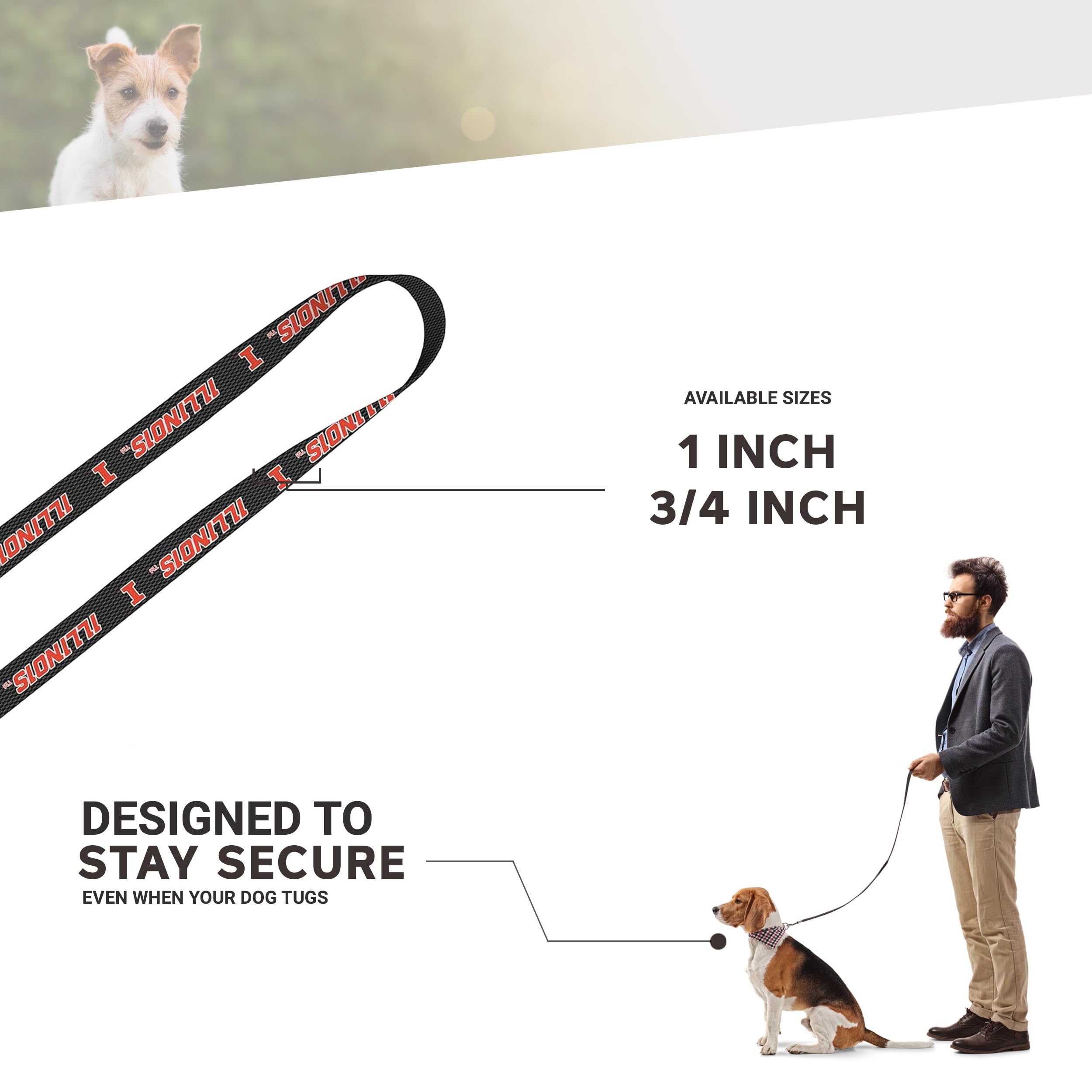 Moose Pet Wear Leash 1'' X 6', University Of Illinois - Carbon Fiber