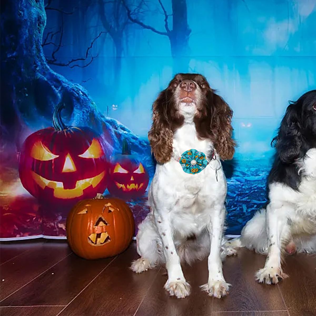 JpGdn 12pcs Halloween Dog Collar Flowers Bows Attachment Sliding for Medium Large XL Puppy Cats Rabbit Party Holiday Grooming Co