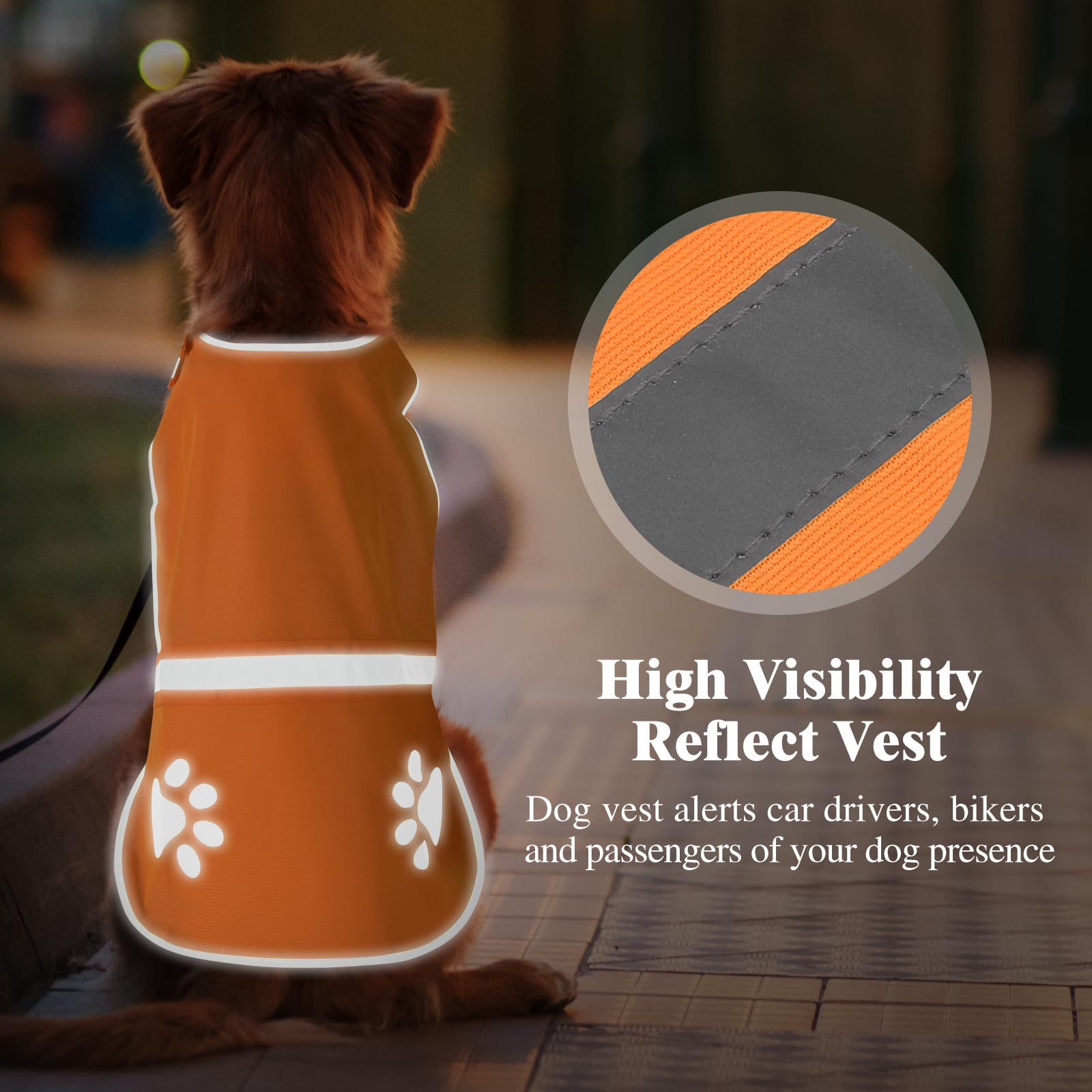 Candofly Reflective Dog Vest, High Visibility Safety Pet Hunting Jacket For Night Walking Camping (Orange, Medium)