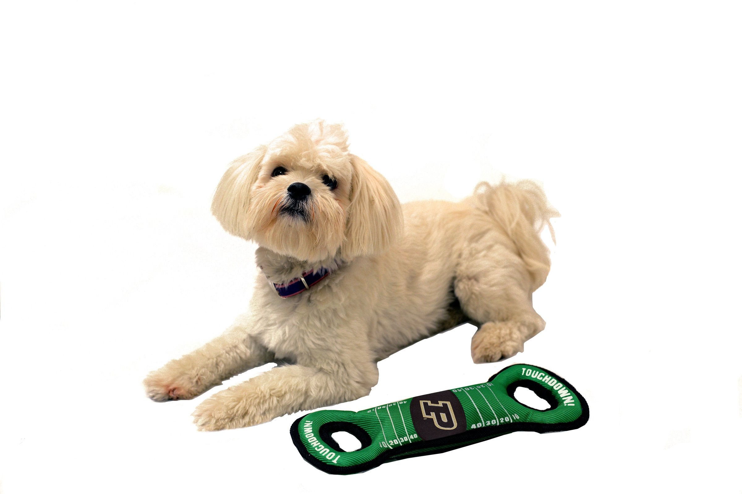 Pets First Ncaa Football Field Dog Toy With Squeaker. - Purdue Boilermakers - For Tug, Toss, And Fetch. - Tough& Durable Pet Toy