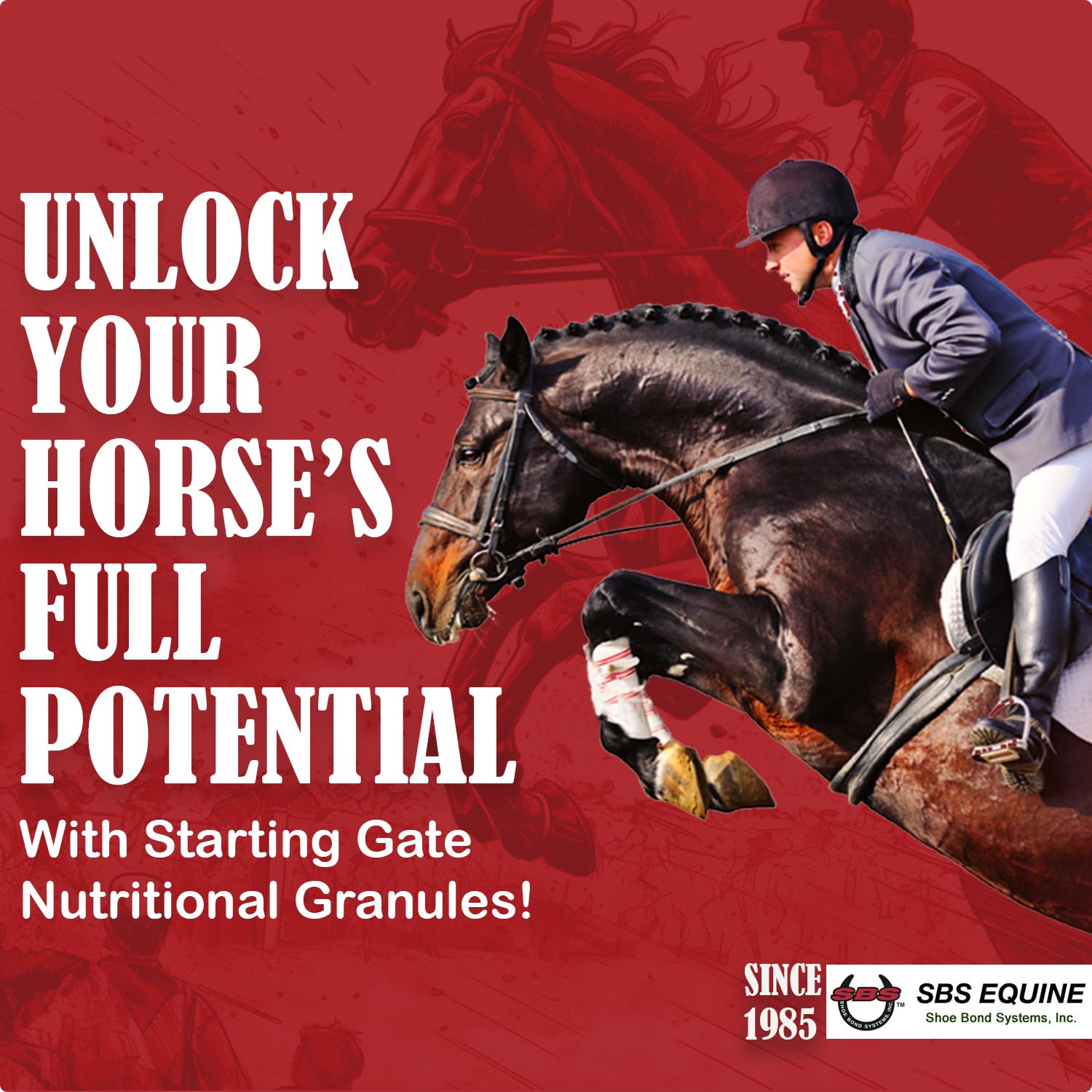 SBS Equine Starting Gate Granules for Horses | Horse Calming Supplement That Prevents & reverses gastric Equine Ulcers (1.1 Gall