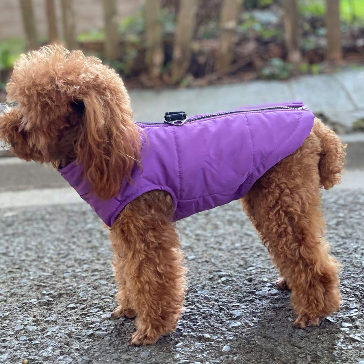 Dog Winter Vest With Cotton Lining, Waterproof Ultra Warm Dog Winter Coat Windproof Zippered Jacket Breathable Soft Dog Coat For Small Medium Large Dogs Purple S