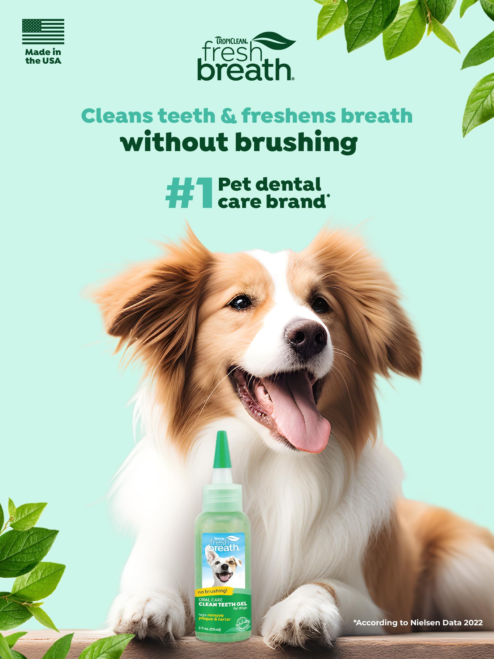 TropiClean Dog Dental Care Gel - Breath Freshener & Easy Teeth Cleaning - 2 oz - Original