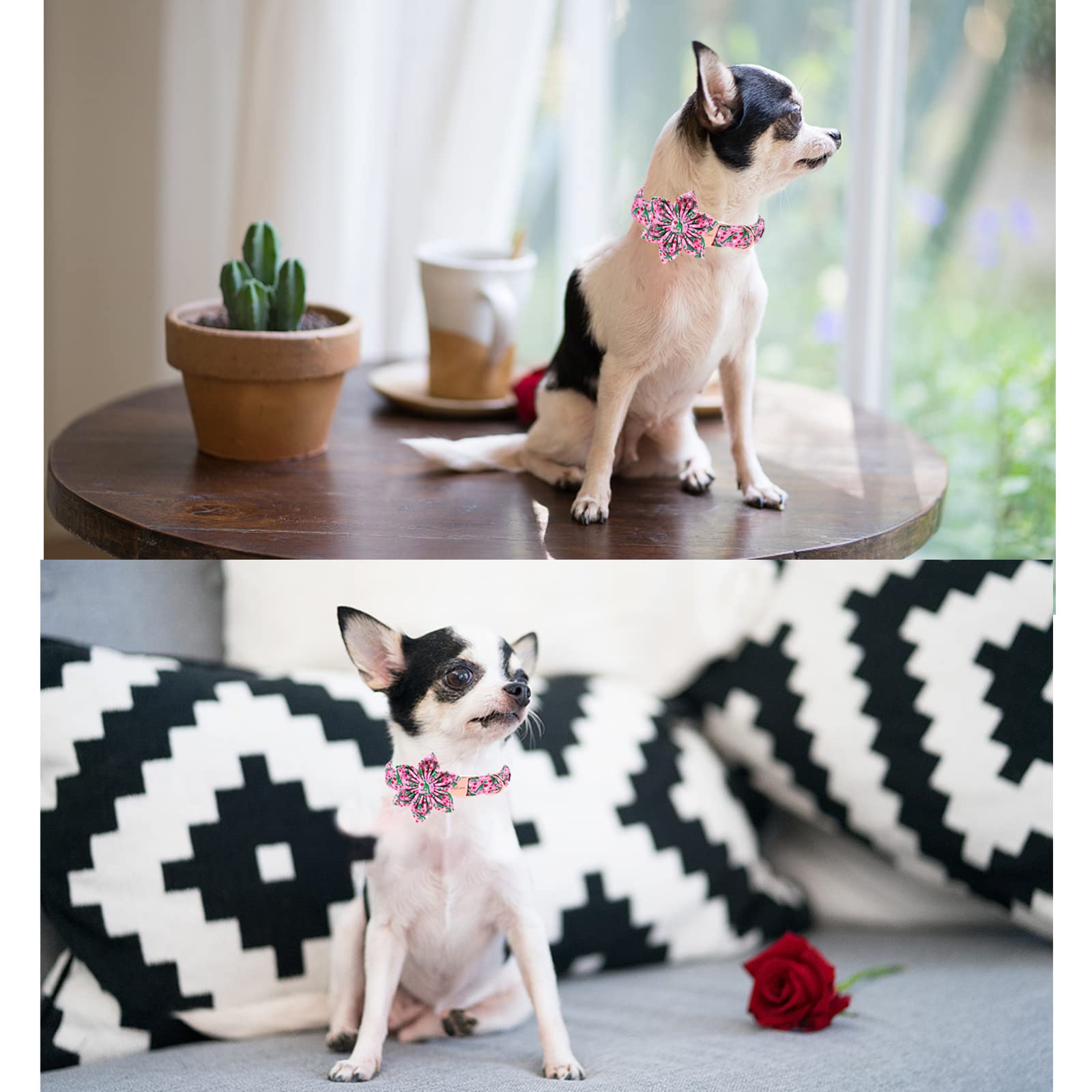 Unique Style Paws Dog Collar With Flower Tie Pink Dinosaur & Heart Puppy Collar Suitable For Small Medium Large Dogs With Adjustable Safety Metal Buckle For Valentine'S Day-S