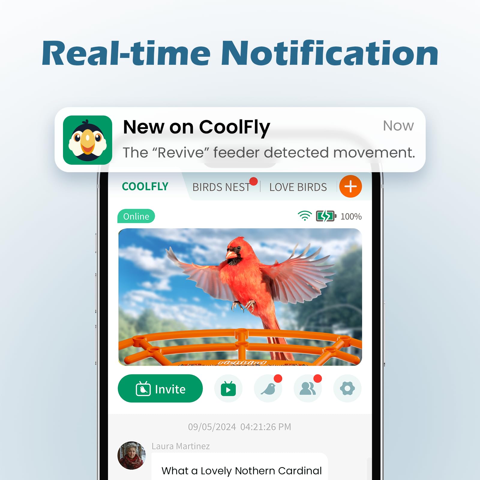 Smart Bird Feeder with Camera, Birdwatching Camera with Lifetime Free AI Identify Bird Species & Solar Panel, Auto Video Capture