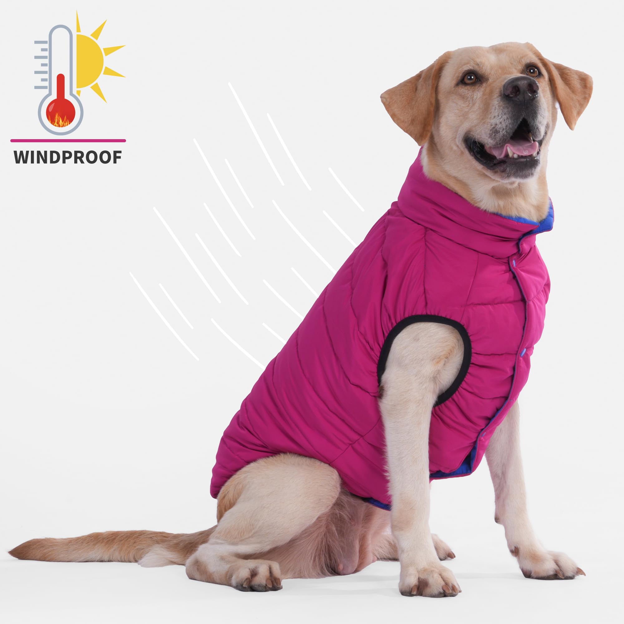 Lovinpet Dog Winter Jacket - Reversible Medium & Large Down Coat, Snap Button Down Jacket, Windproof, Snowproof & Waterproof, Du