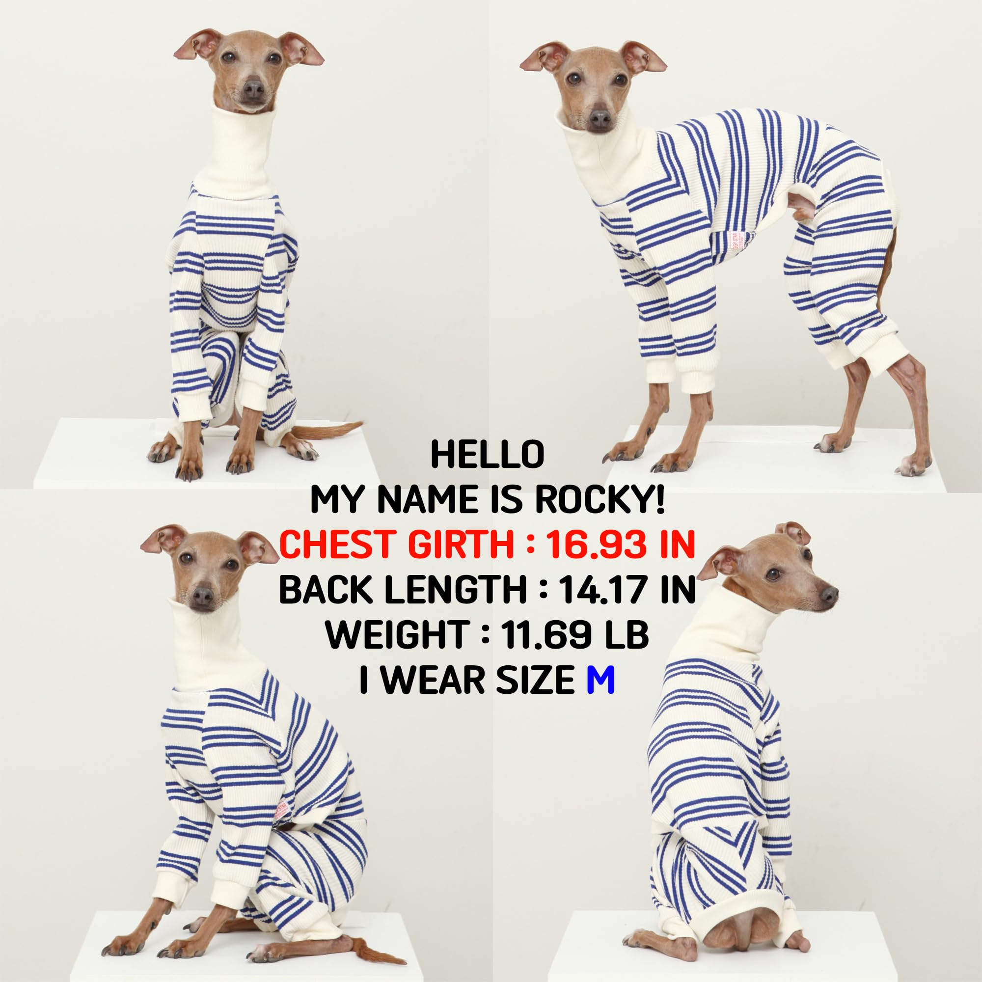 D Doggy Star Italian Greyhound Clothes Soft Stretchy Onesie Refined Stripe Outfit Whippet For Dog Coat (3Xl,Onsi Blue Str)
