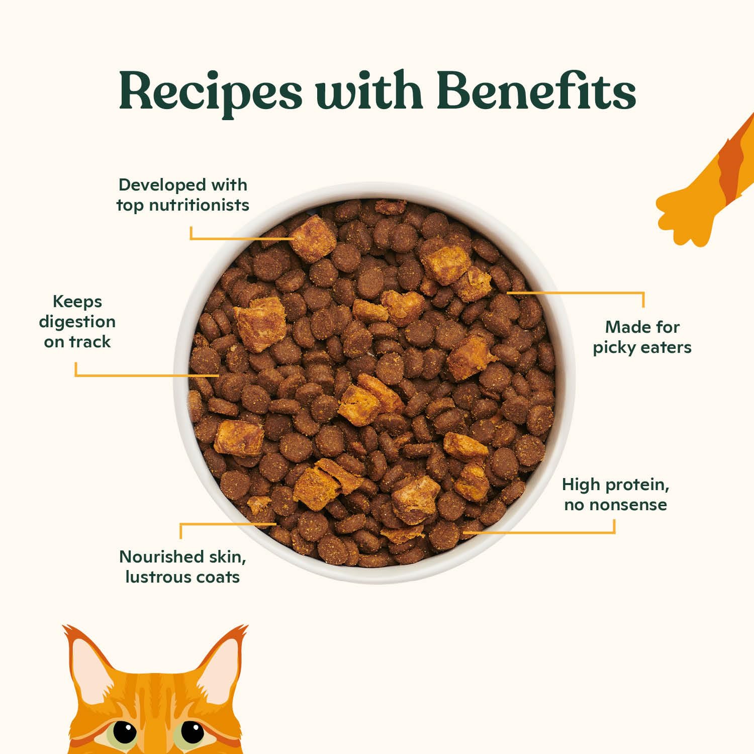 Made by Nacho Dry Cat Kibble 4lb Bag, High Protein Premium Cat Food with Freeze Dried Pieces, Cage-Free Chicken & Duck, Limited