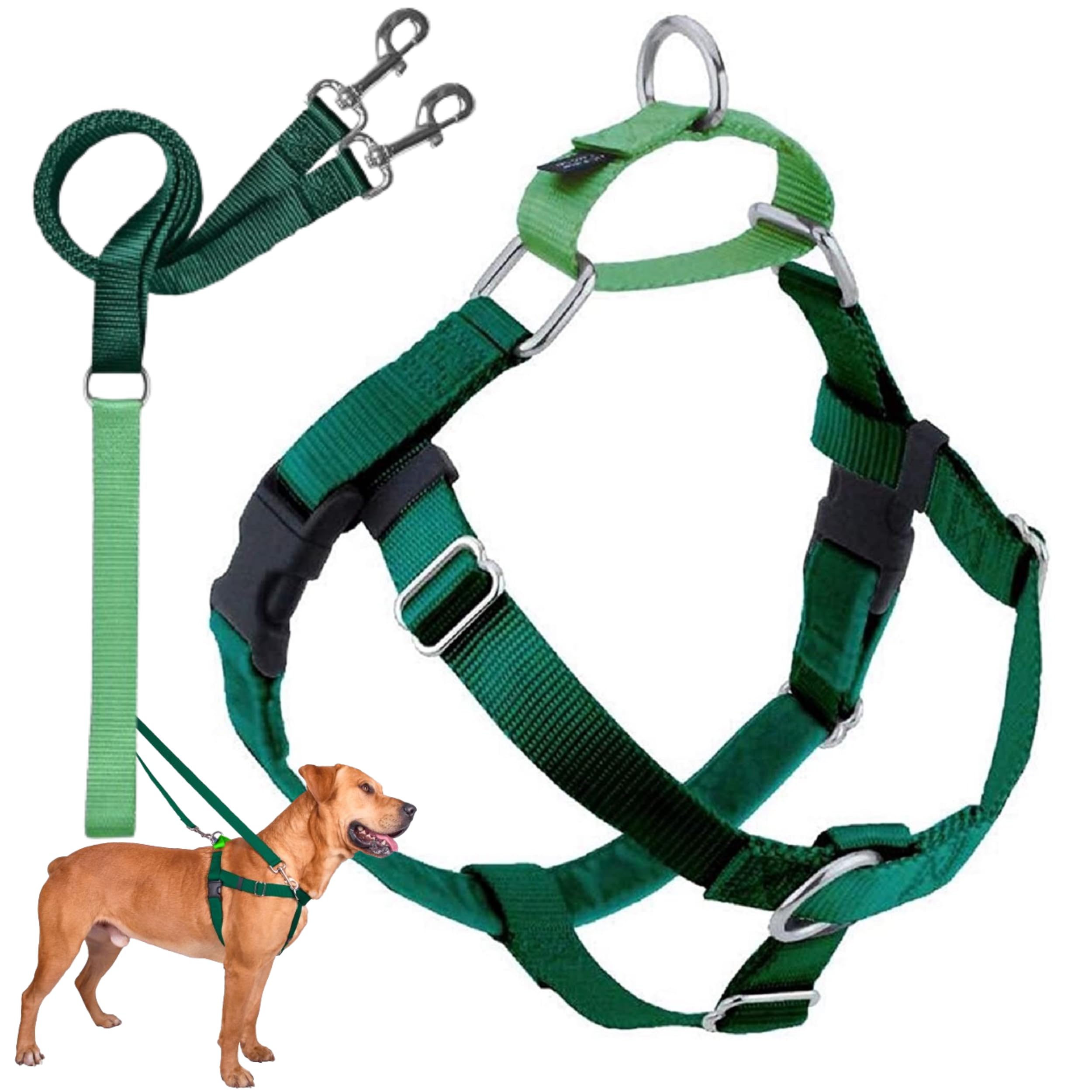 2 Hounds Design Freedom No Pull Dog Harness, Adjustable Harness And Leash Set, Easy Walking & Comfortable Control, Fits Small, Medium & Large Dogs, Solid Colors, Made In Usa, 1' Lg, Kelly Green