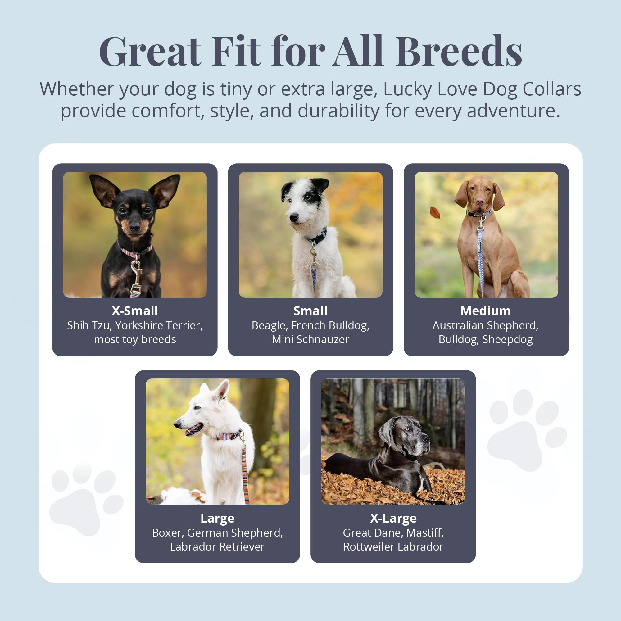 Lucky Love Dog, Comfortable, Soft, Cute Female Dog Collar For Medium Dogs, Black & Purple Floral Print, Adjustable Nylon Collar,