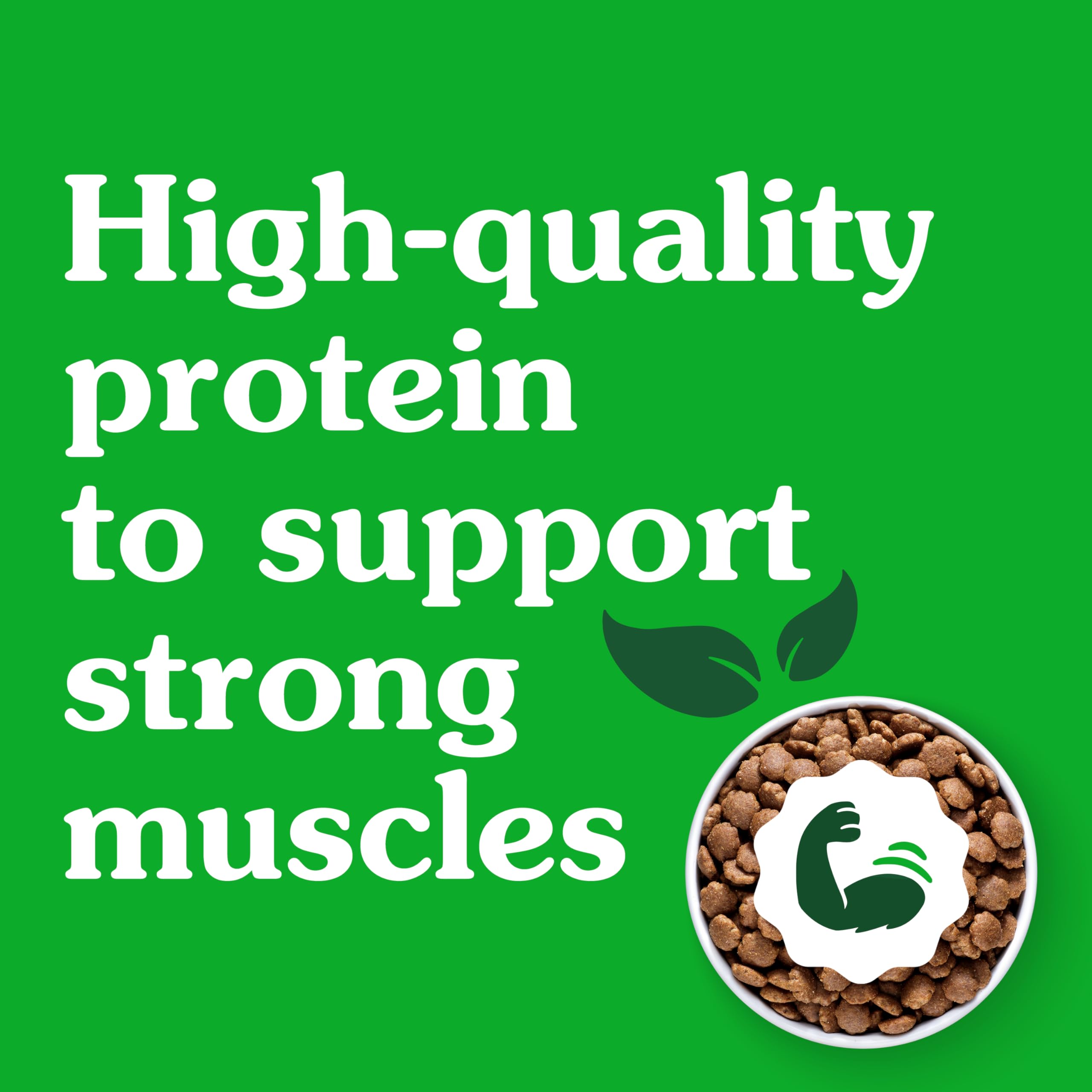 Greenies Smart Essentials Small Breed Adult High Protein Dry Dog Food Real Chicken & Rice Recipe, 27 lb. Bag