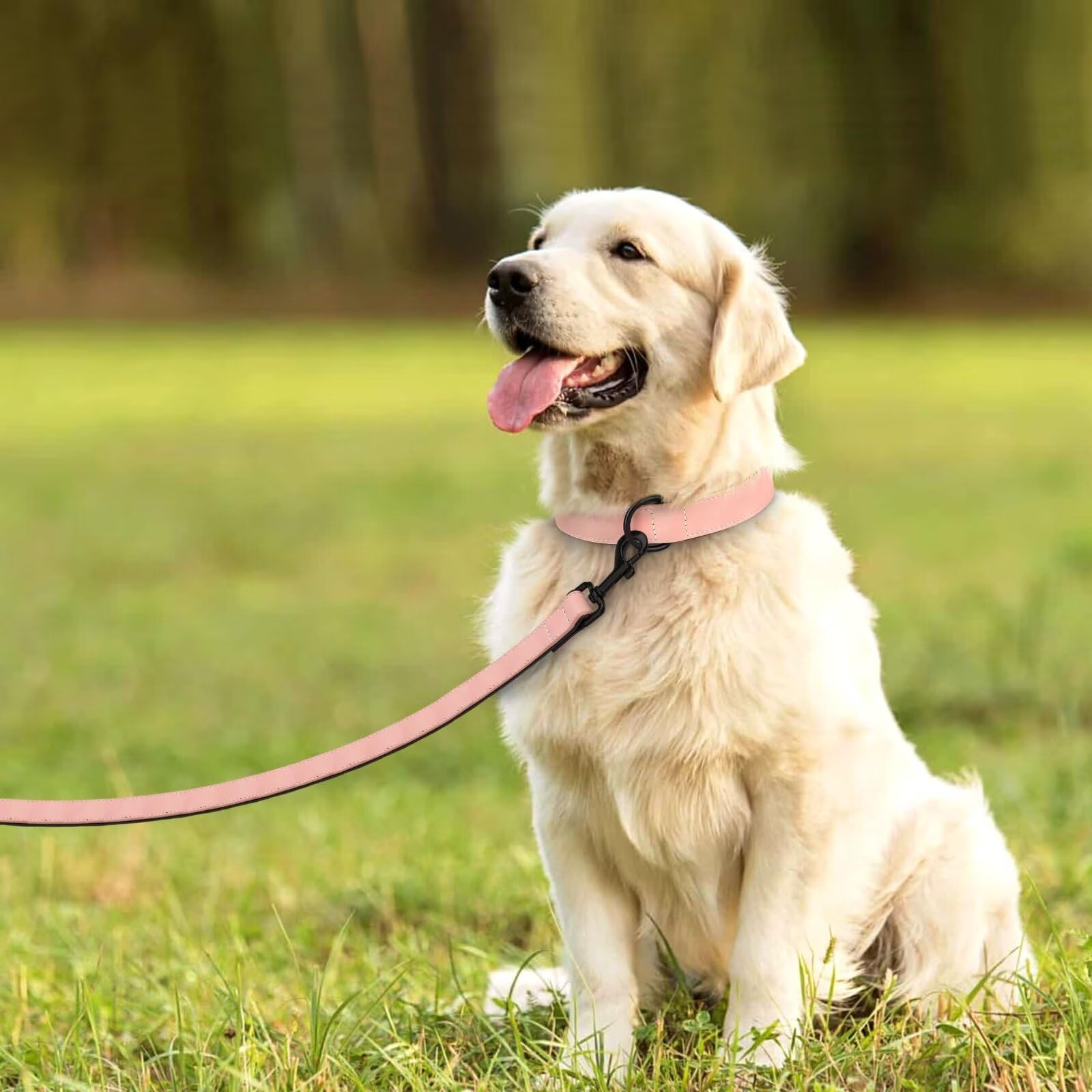 Didog Soft Padded Leather Dog Collar And Leash Set, Heavy Duty Pink Dog Leash And Collar Set With Metal Buckle, Breathable Dog C