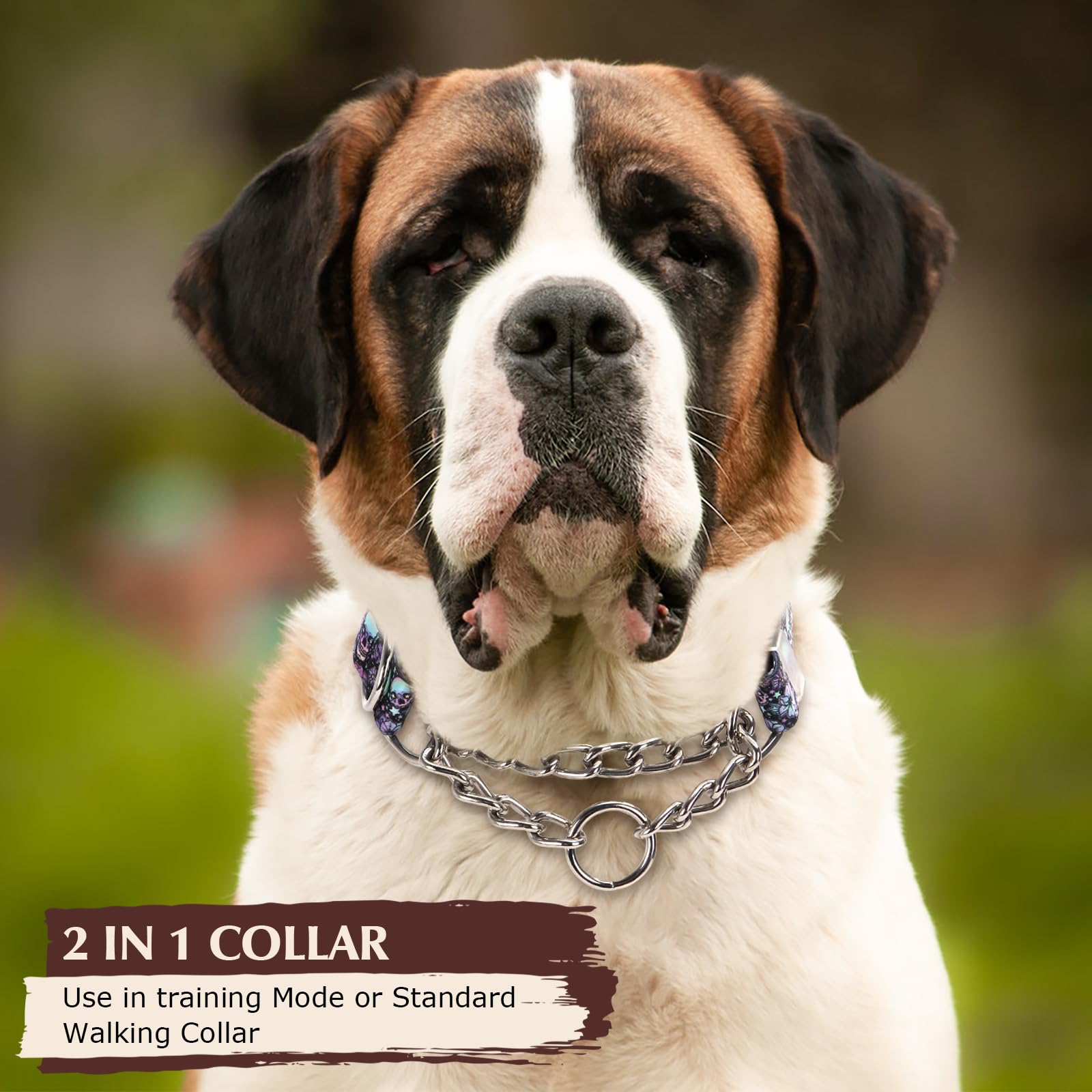 Martingale Collar For Dogs With Skull Design, Trainer Approved Limited Slip Collar With Stainless Steel Chain, Adjustable No Cho