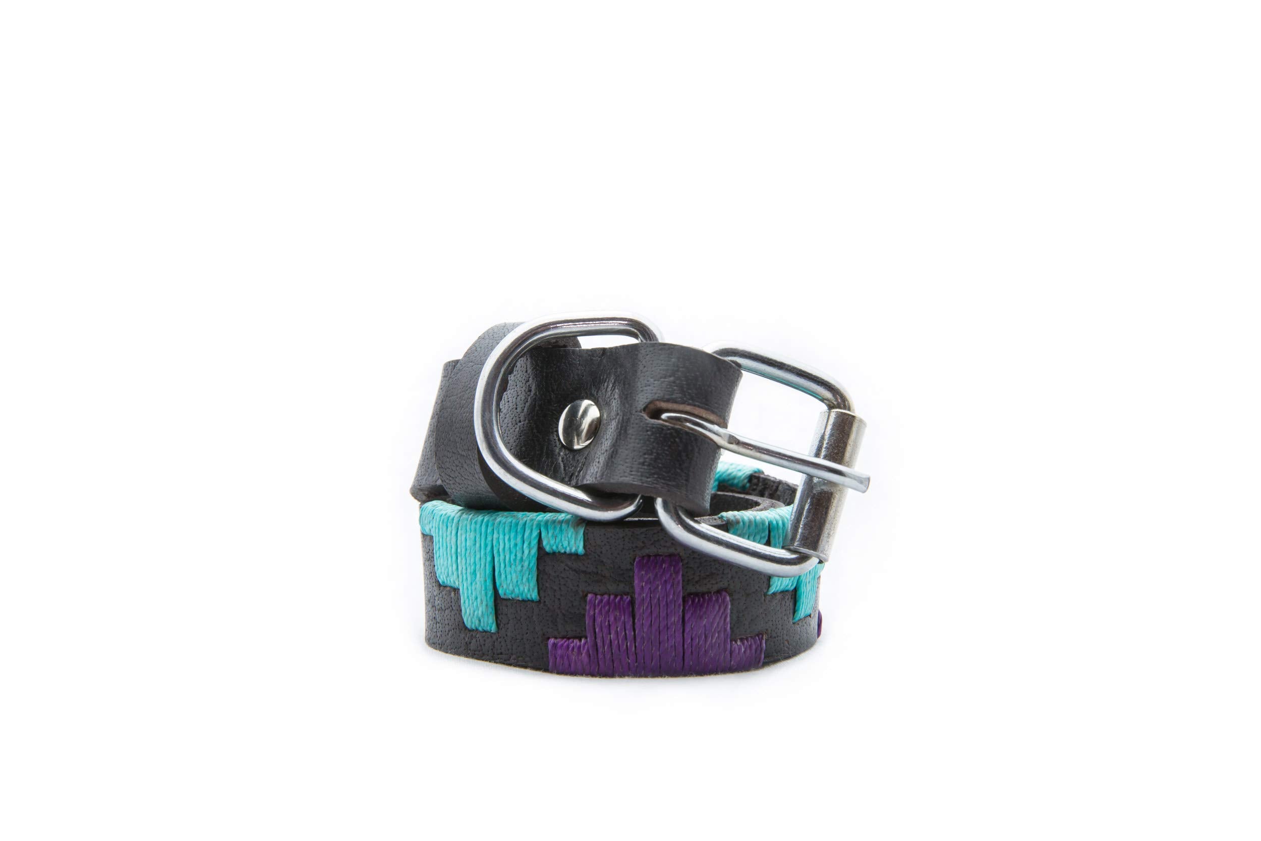 Gaucho Goods Leather Dog Collar (Miami-Xs) For Small Dogs