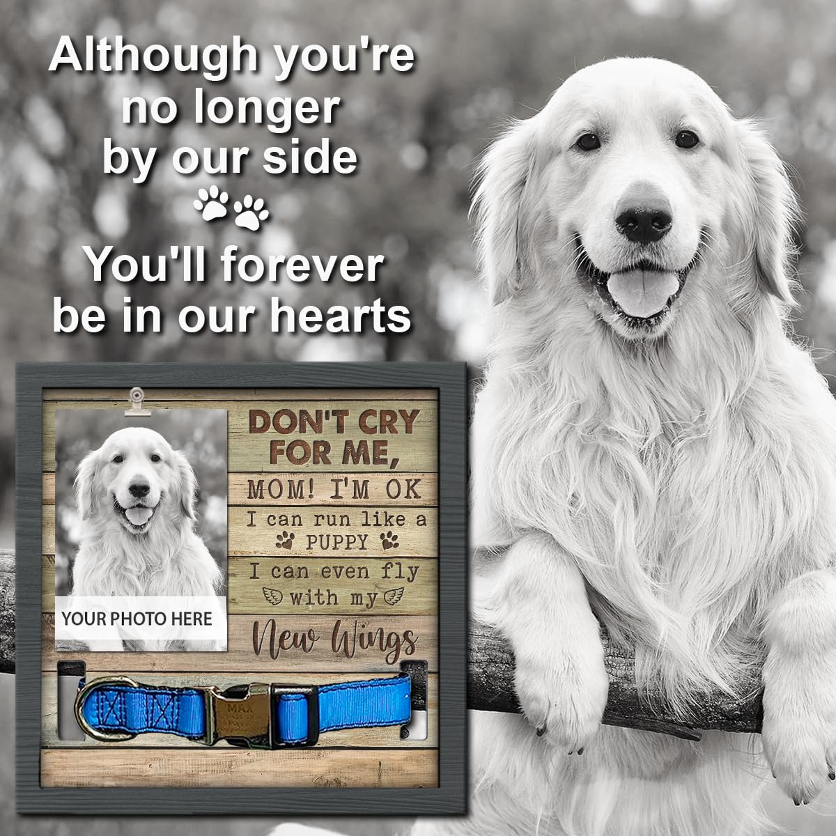 Pawfect House Dog Memorial Gifts For Loss Of Dog, Pet Memorial Collar Frame, Dog Bereavement Gifts, Custom Pet Memorial Gifts, P