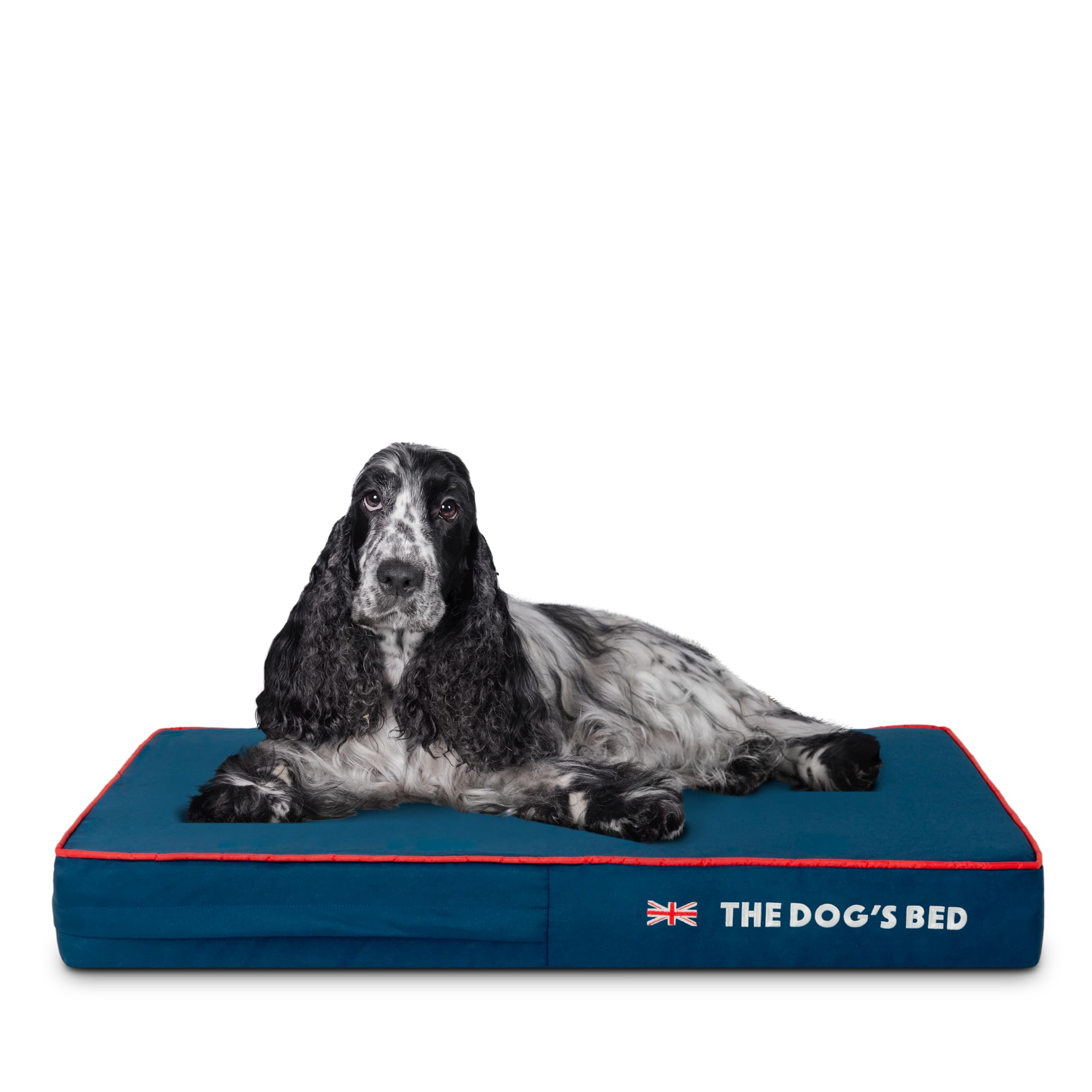 The Dogs Bed Orthopedic Memory Foam Dog Bed, Medium Blue Oxford with Red Trim UK Flag 34x22, Pain Relief for Arthritis, Hip & El