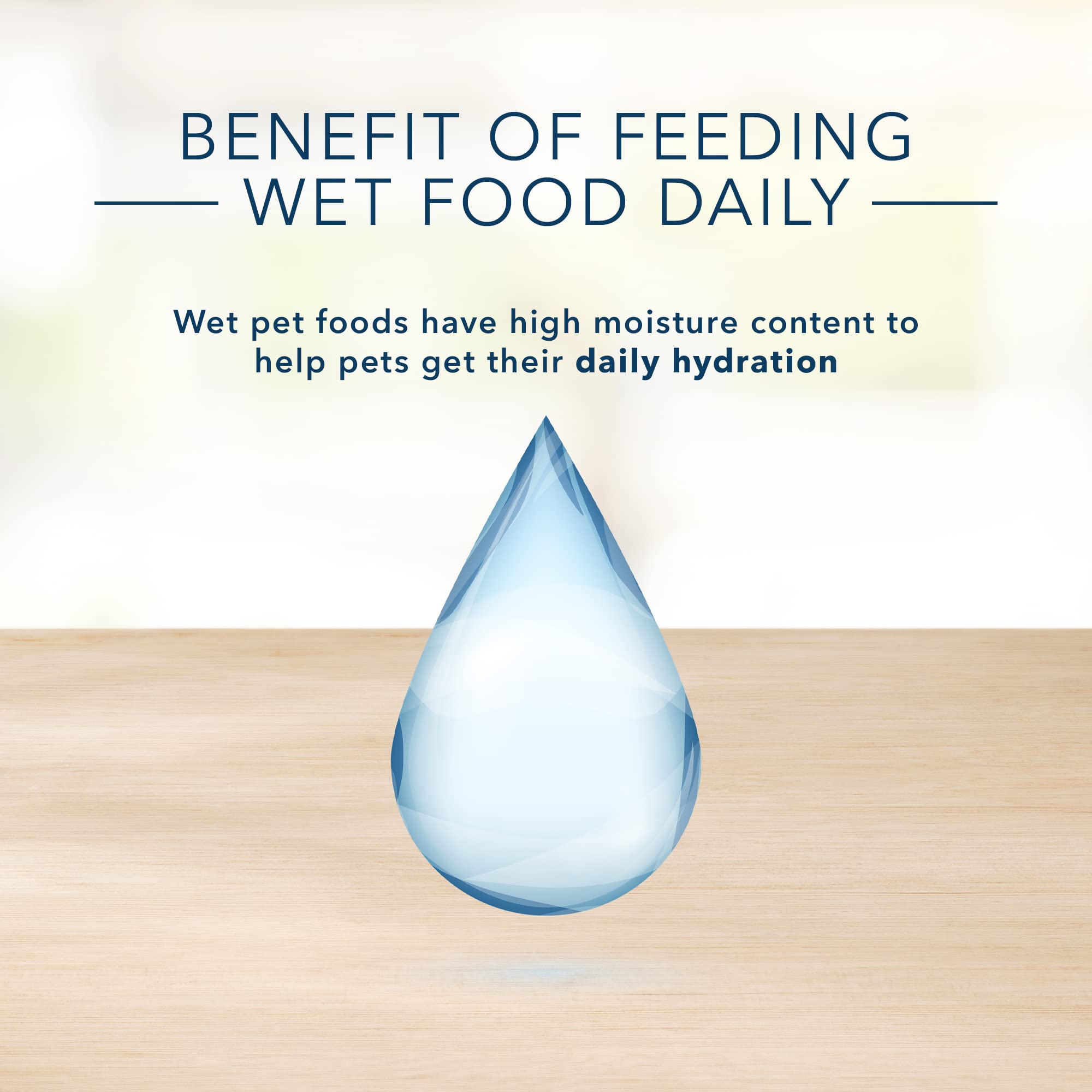 Blue Buffalo Basics Grain-Free Adult Wet Dog Food, Skin & Stomach Care, Limited Ingredient Diet, Turkey Recipe, 3-oz Can, 24 Cou