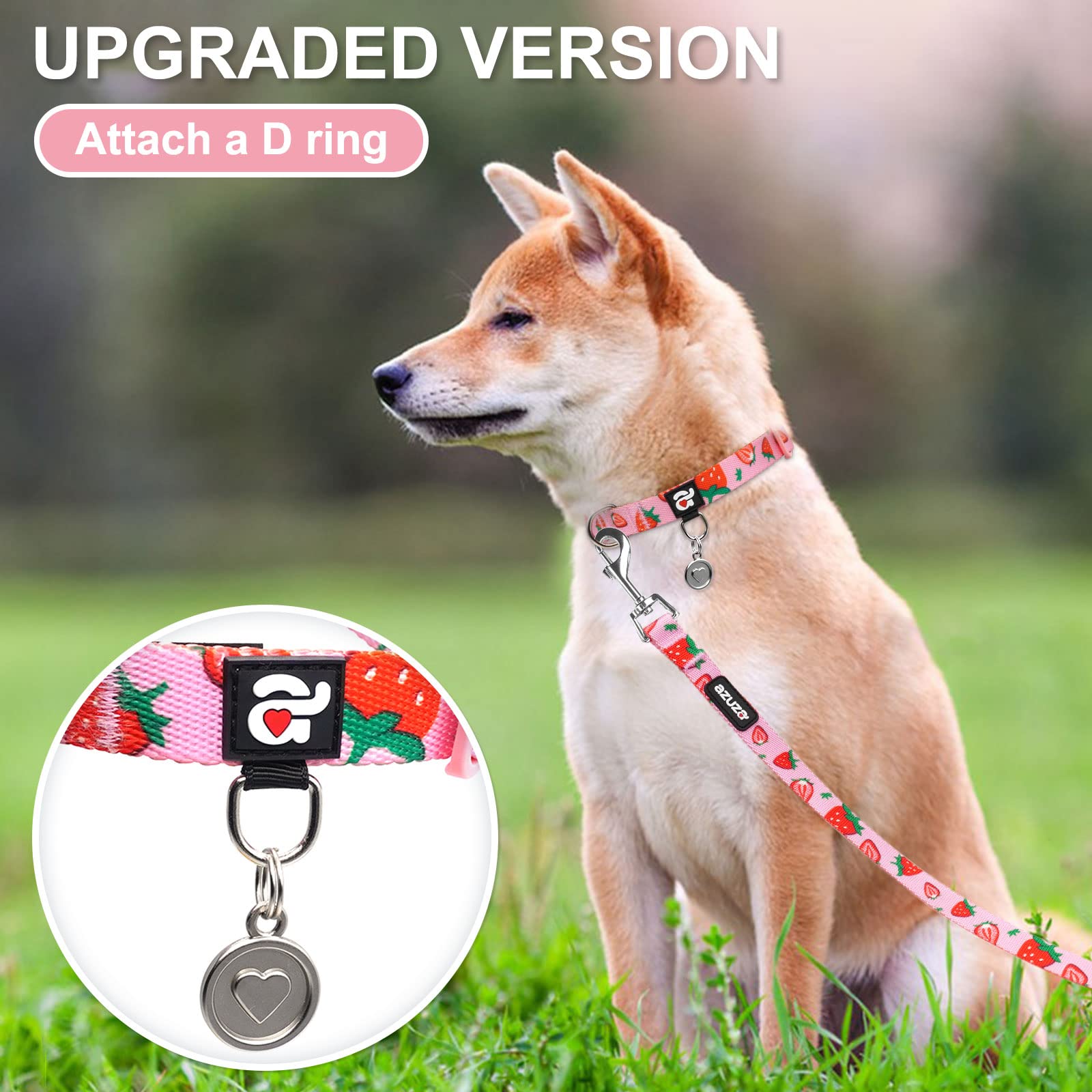 Azuza Dog Collar And Leash Set, Cute Strawberry Patterns On Pink Nylon Collar And Matching Leash, Great Option For Large Dogs