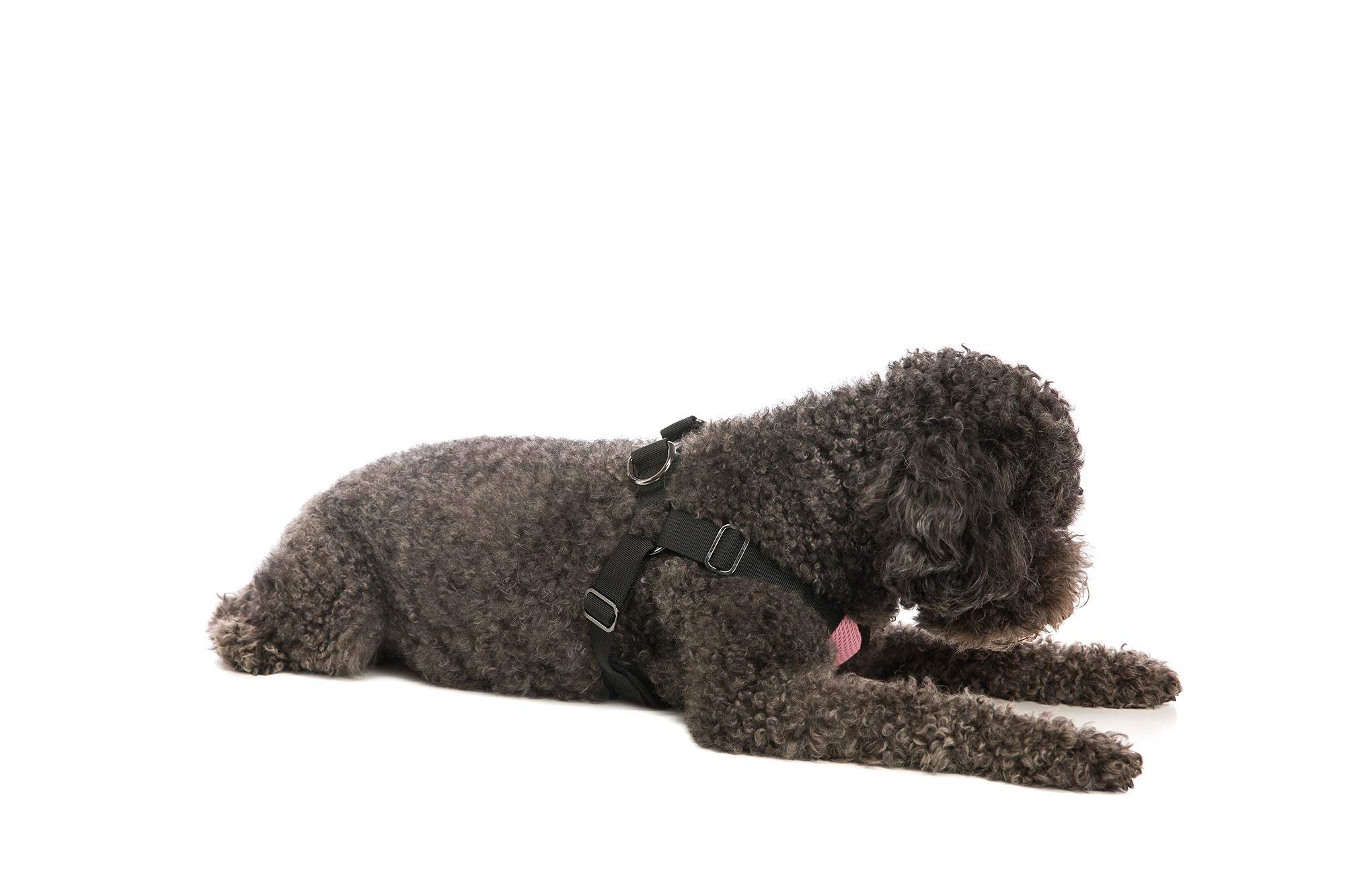 Gooby - Comfort X Step-in Harness, Choke Free Small Dog Harness with Micro Suede Trimming and Patented X Frame, Pink, Small