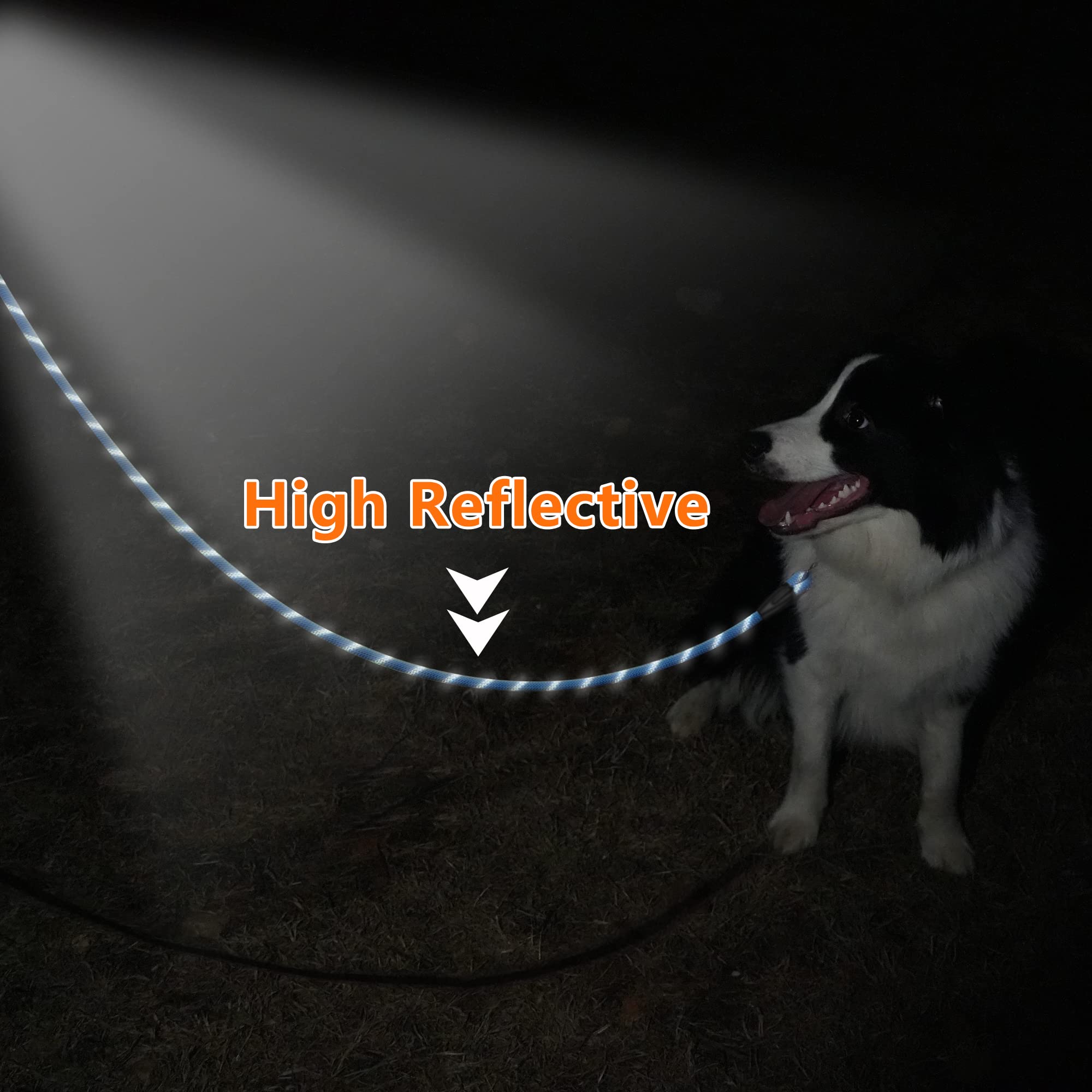 Ntr Heavy Duty Dog Leash,5Ft Long Rope Leash For Dog Training With Swivel Lockable Hook,Reflective Threads And Comfortable Handl