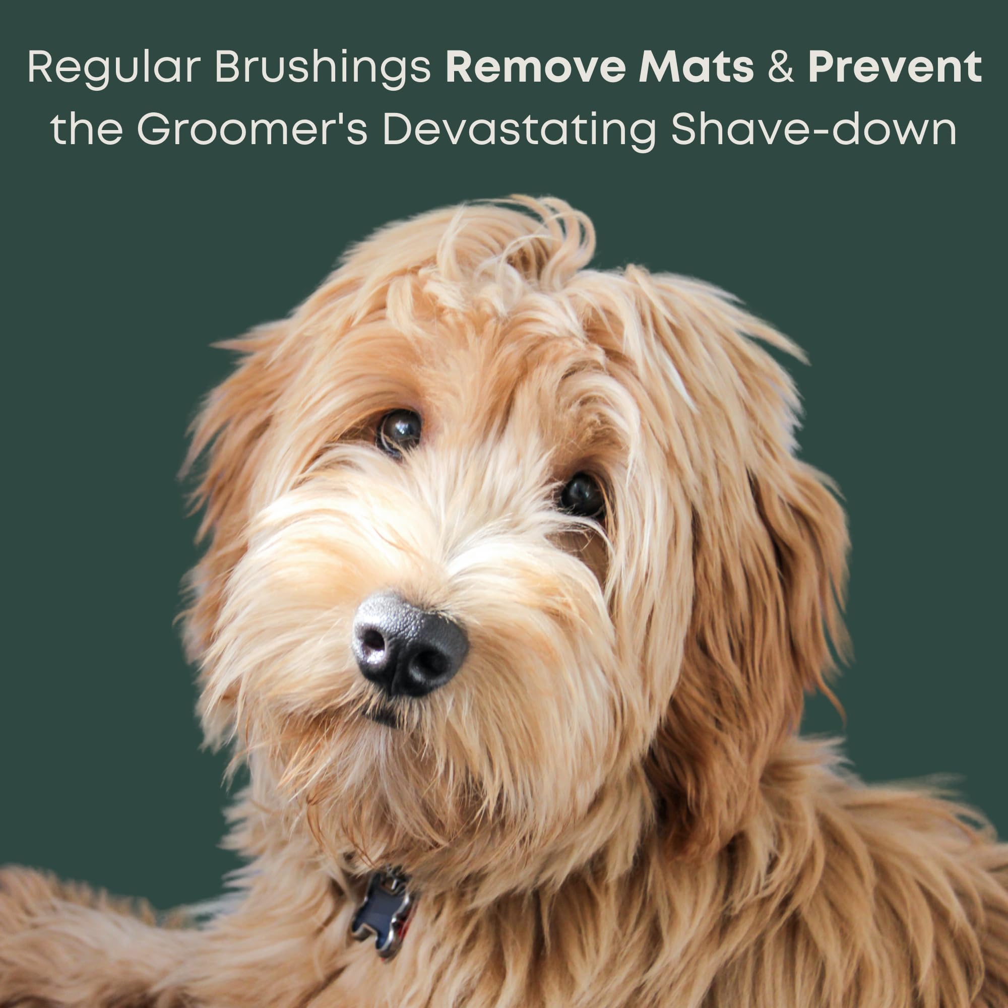Doodle Slicker Dog Brush - Perfect For Goldendoodle & Poodle Hair Maintenance - Medium To Long Hair Breeds - Detangle, Brush, &