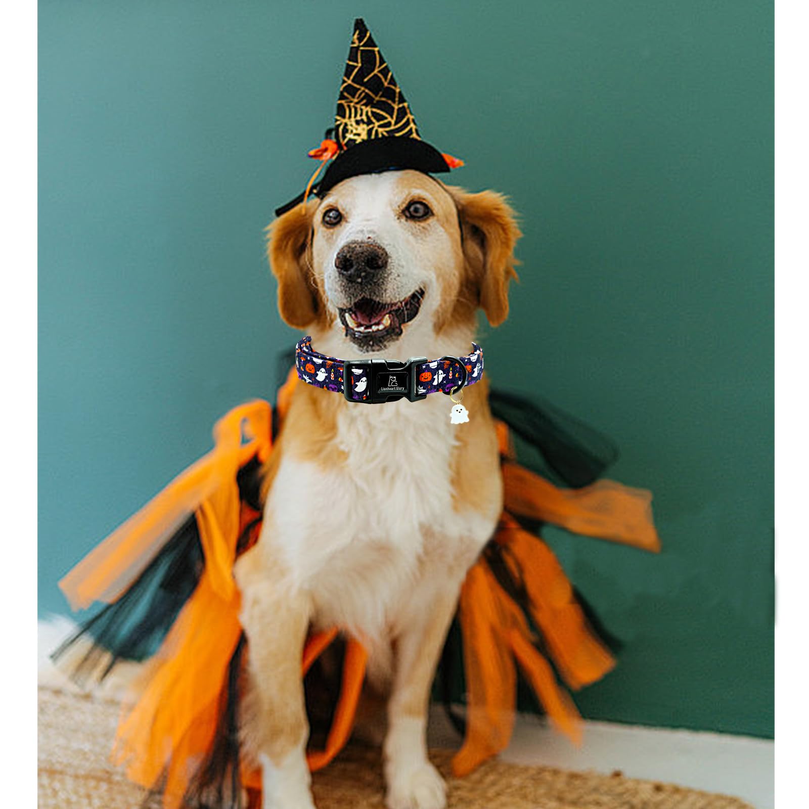 Lionheart Glory Dog Collars Fall Halloween Pumpkin Collar Dog Heavy Comfortable Adjustable Dog Collar For Small Collar Dogs Girl