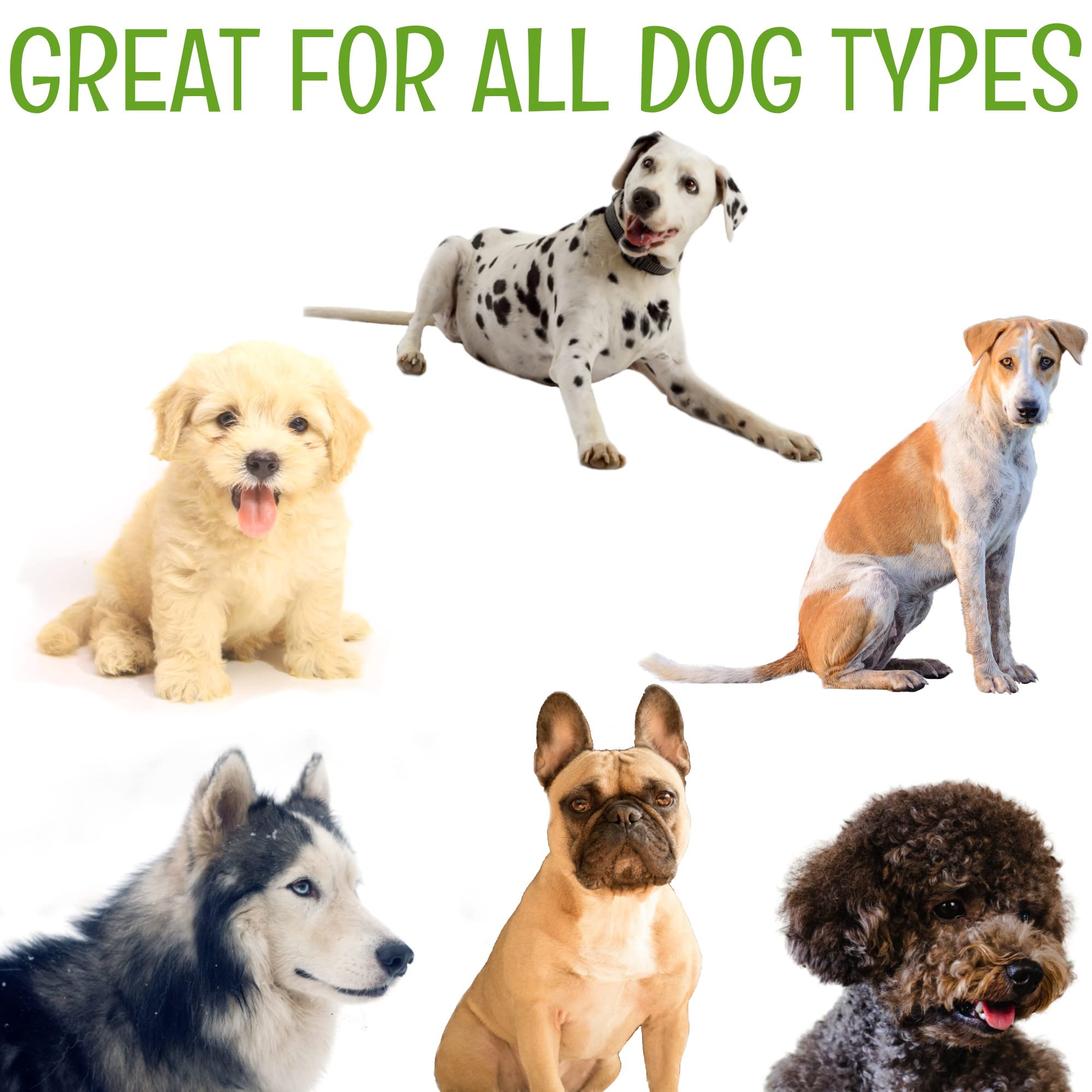 Petazy Dog Wipes For Paws And Butt Ears Eyes  Organic Pet Wipes For Dogs  Hypoallergenic Lavender Scented Dog Wipes Cleaning Deo