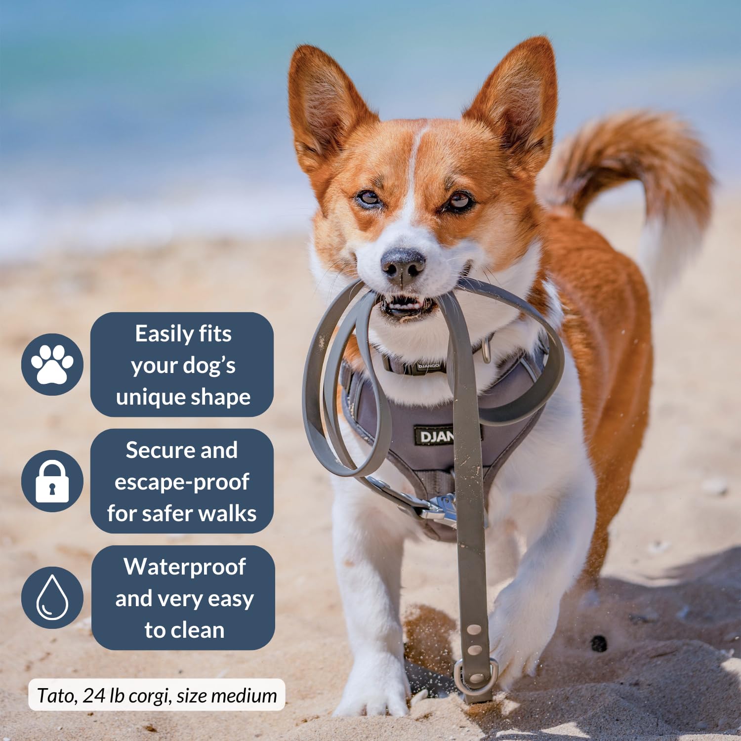 DJANGO Tahoe No Pull Dog Harness - Durable Comfortable Neoprene Pet Harness for Dogs - Padded Pet Harness for Everyday Use - Adj