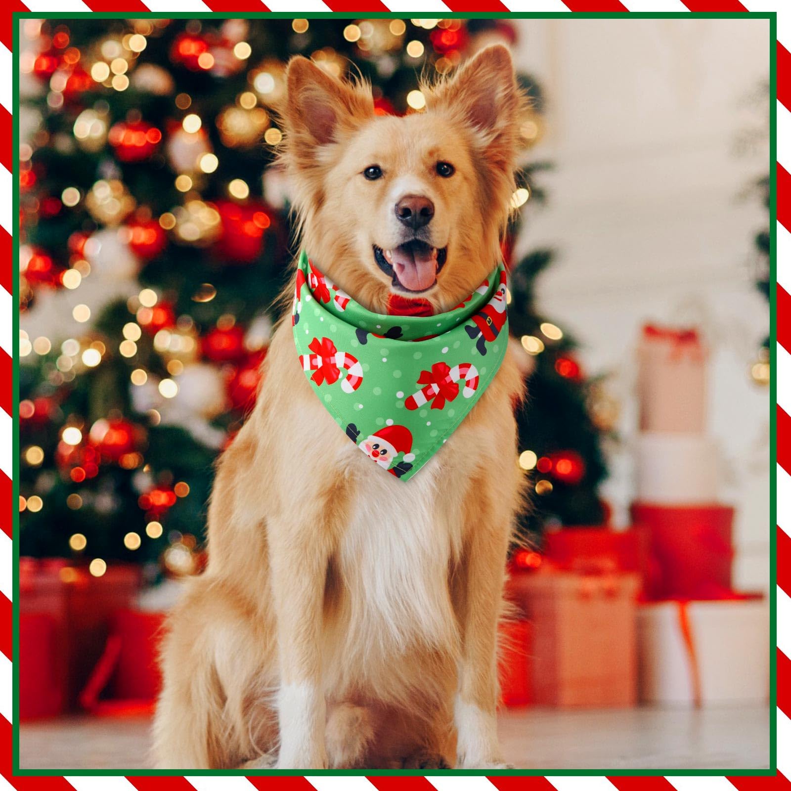 50 Pieces Christmas Dog Bandanas Bulk Dog Kerchief Set Bibs Triangle Dog Scarf Dog Bandanas With Christmas Patterns For Pet Christmas Party Costume Accessories Decoration (25.6 X 17.7 X 17.7 Inch)