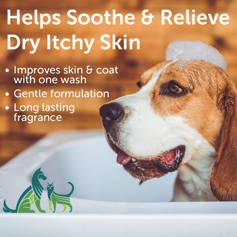 Nootie Aloe&Oatmeal Pet Shampoo For Sensitive Skin-Long Lasting Cucumber Melon Shampoo-Helps Relieve Dry Itchy Skin For Dogs&Cat