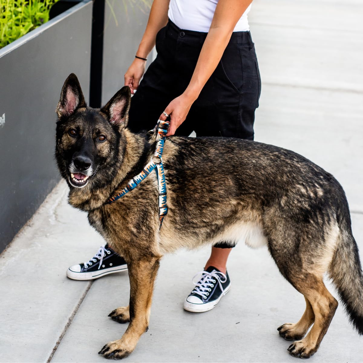 Wolfgang Heavy Duty Adjustable Dog Harness, Pull-Tested To Over 800 Lbs For Walking & Training, Overland Print, Large