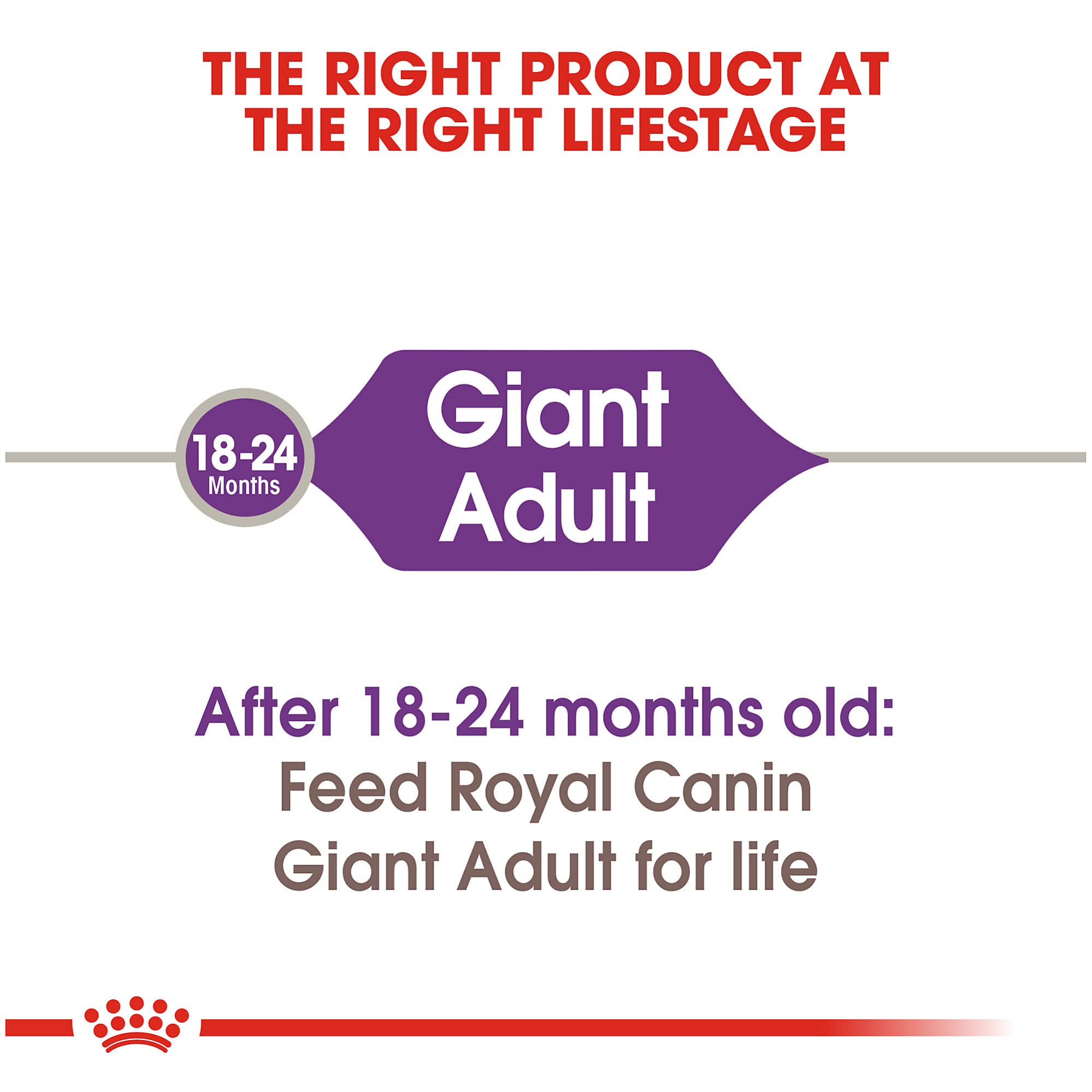 Royal Canin Size Health Nutrition Giant Adult Dog Food Dry, Extra-Large Dog Food Supports Bone and Joint Health, Digestive Healt