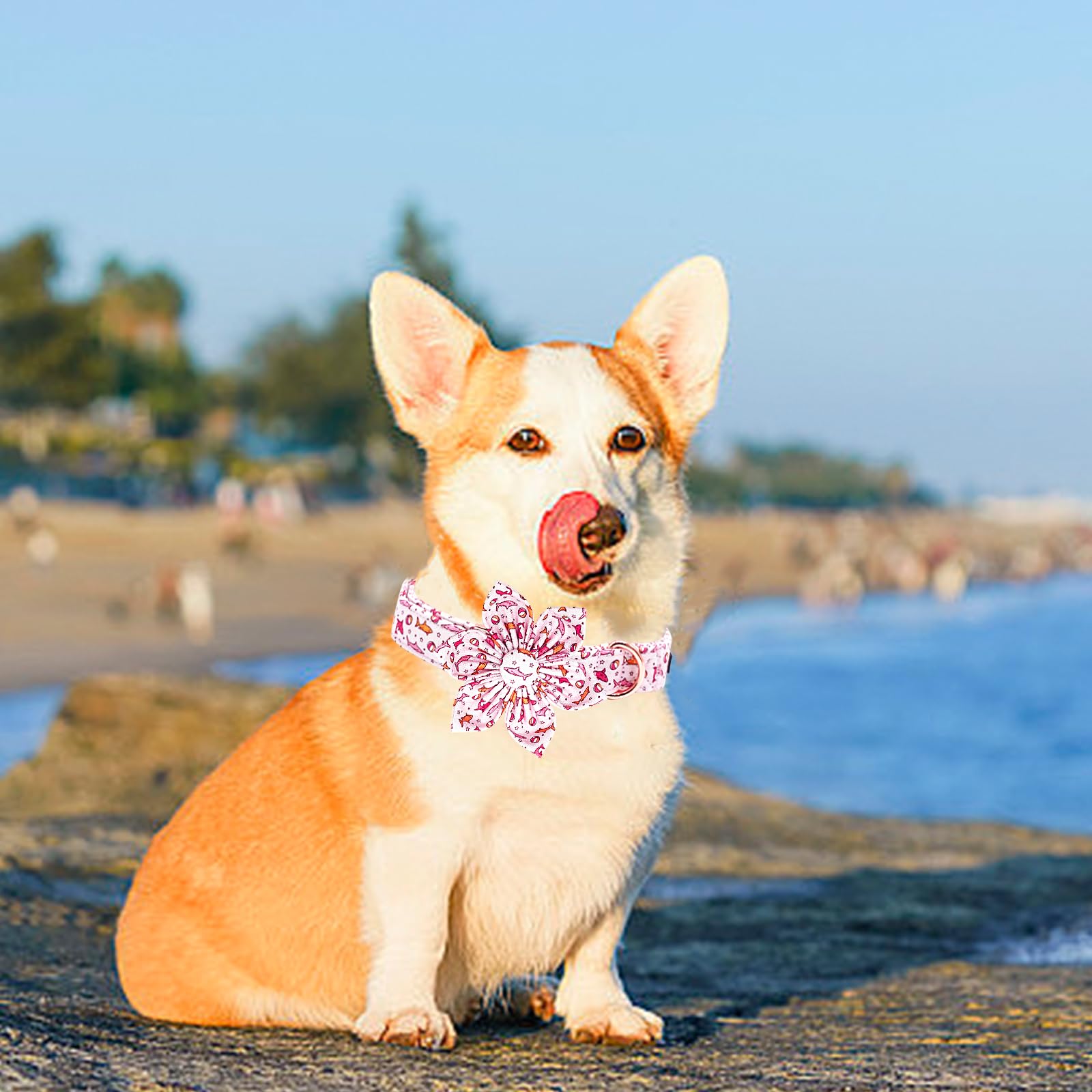 Lionheart glory Dog Collar Shark Print Dog Collar with Flower Pink Dog Collar Male or Female Summer Spring Collars Pet Gift Dura