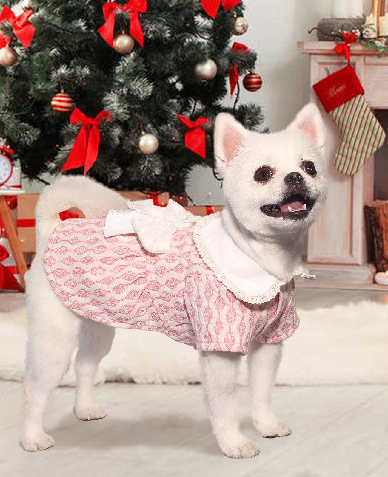 Topkins Dog Dress, Dog Birthday Skirt, Dog Cool Dress, Soft Dog Dress Cute Pet Clothes Outfit For Small Medium Dogs Girl (Pink, M)