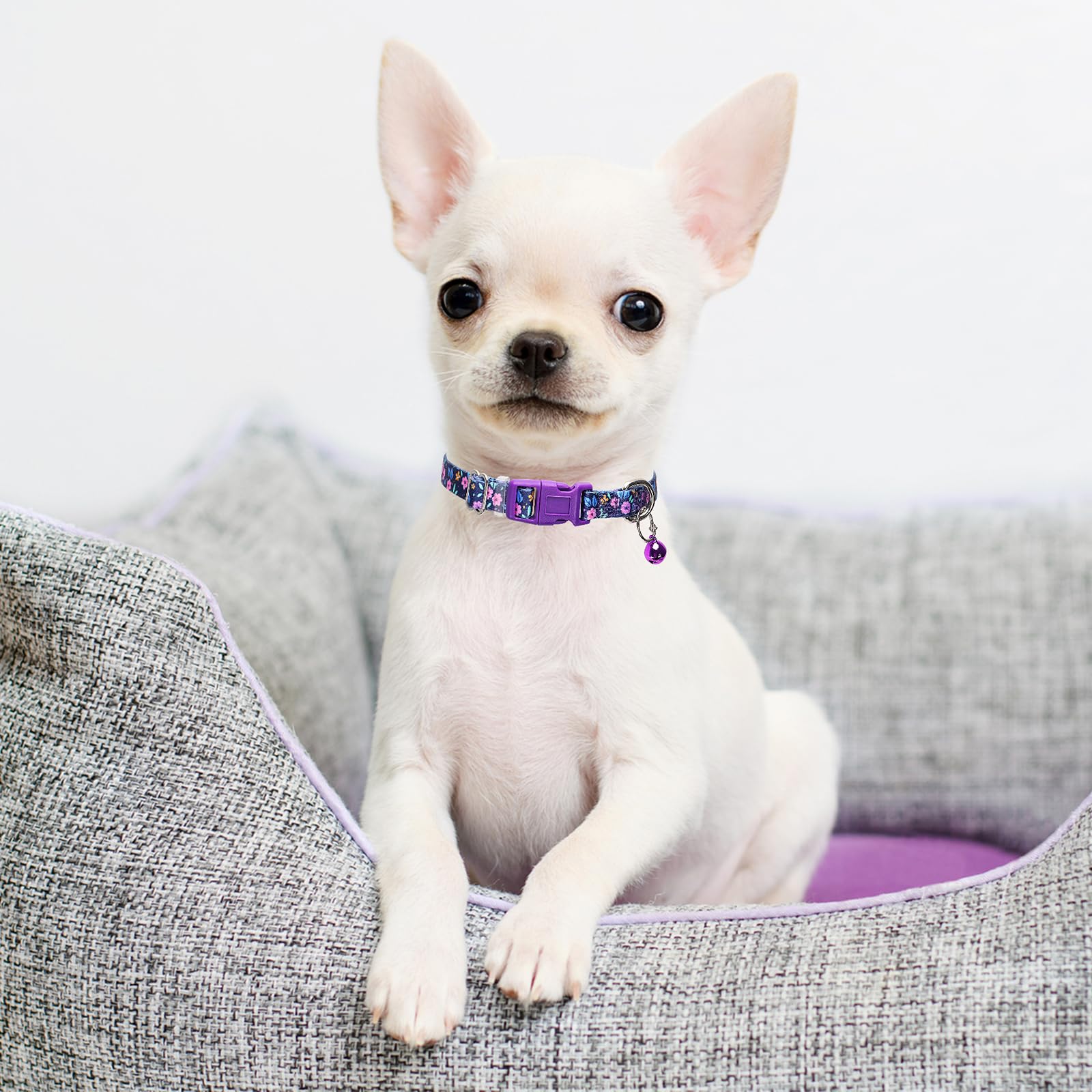 Purple Floral Small Dog Collar With Bell, Pretty Cute Flower Cat Collar Girl Puppy Collars With Bells For Xs Small Tiny Pet Fema