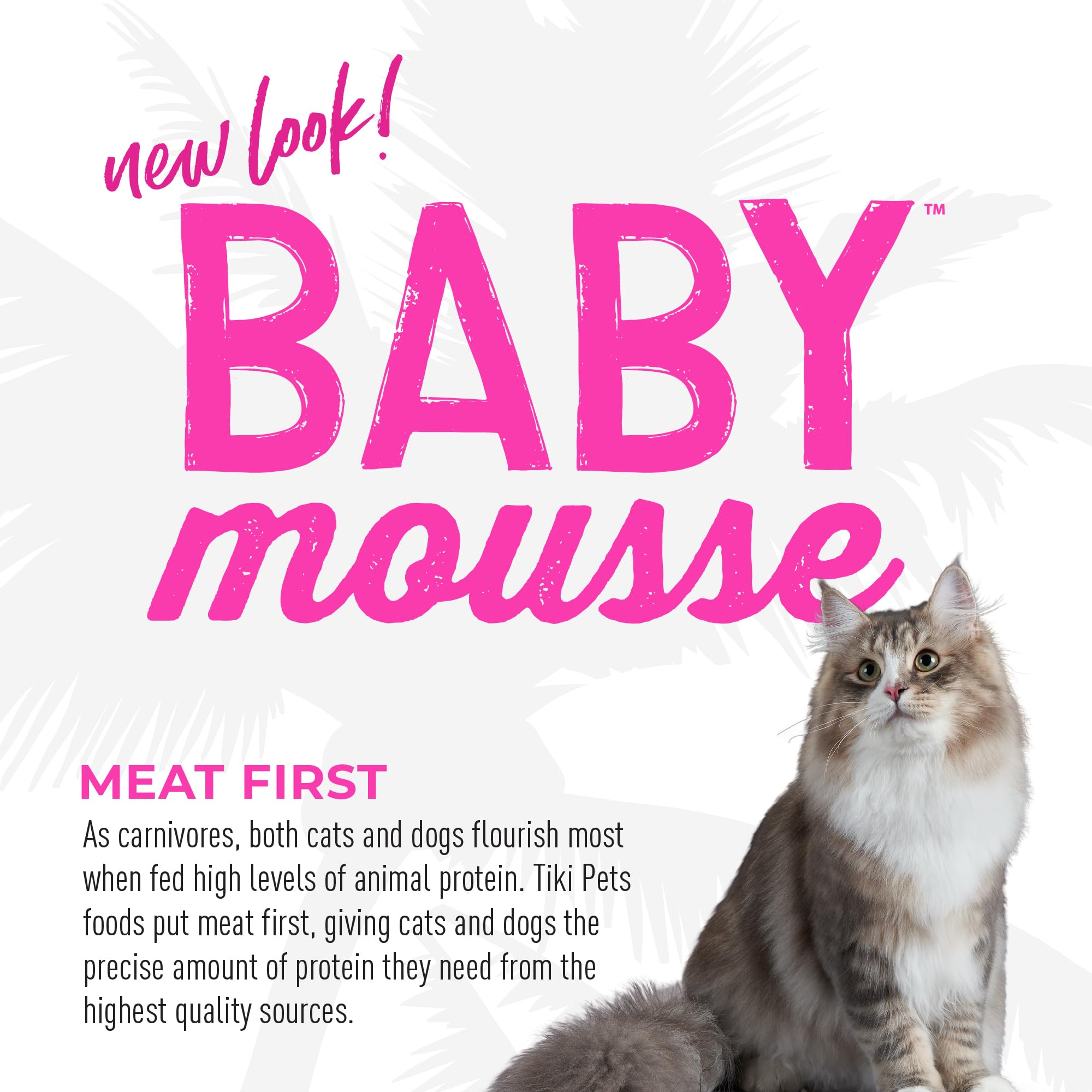 Tiki Cat Baby, Chicken and Chicken Liver, Grain-Free and Nutrient Rich, Wet Cat Food for Kittens 4 Weeks+, 2.4 oz. Pouch (Pack o